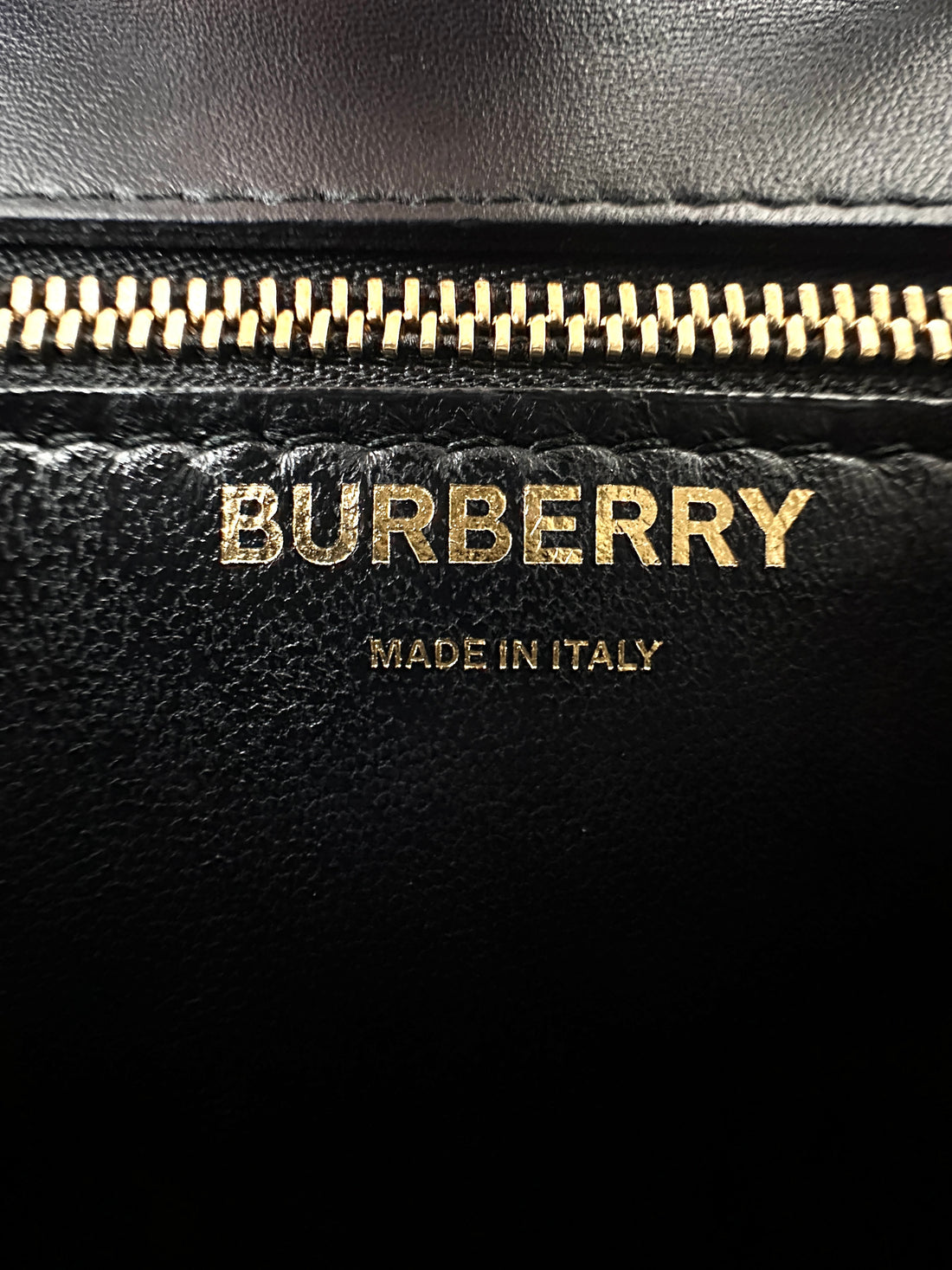 Burberry Bridle Brown Monogram Stripe E-canvas TB Bag BR45