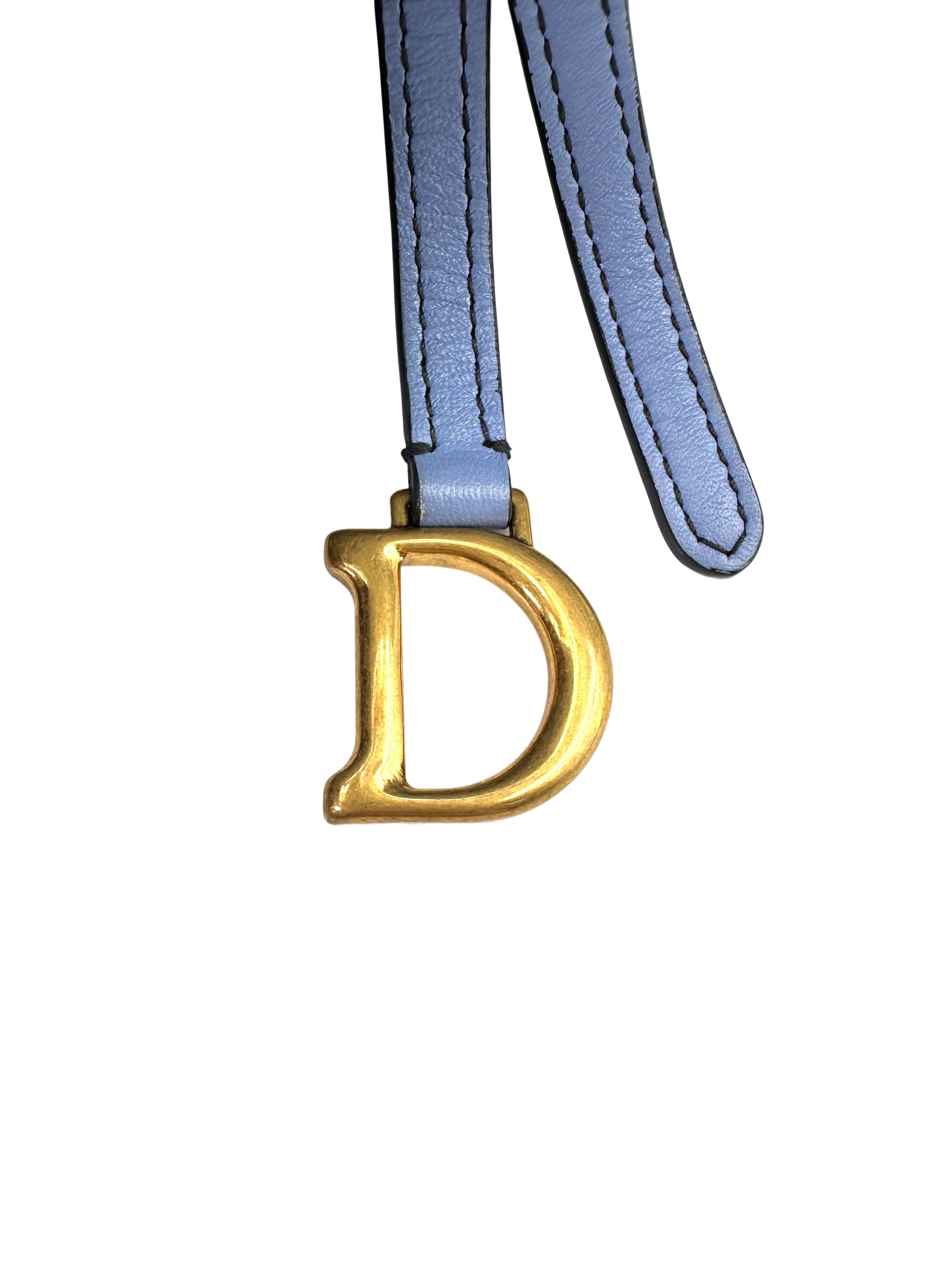 Christian Dior Blue Oblique Saddle Long Wallet With Chain DR610