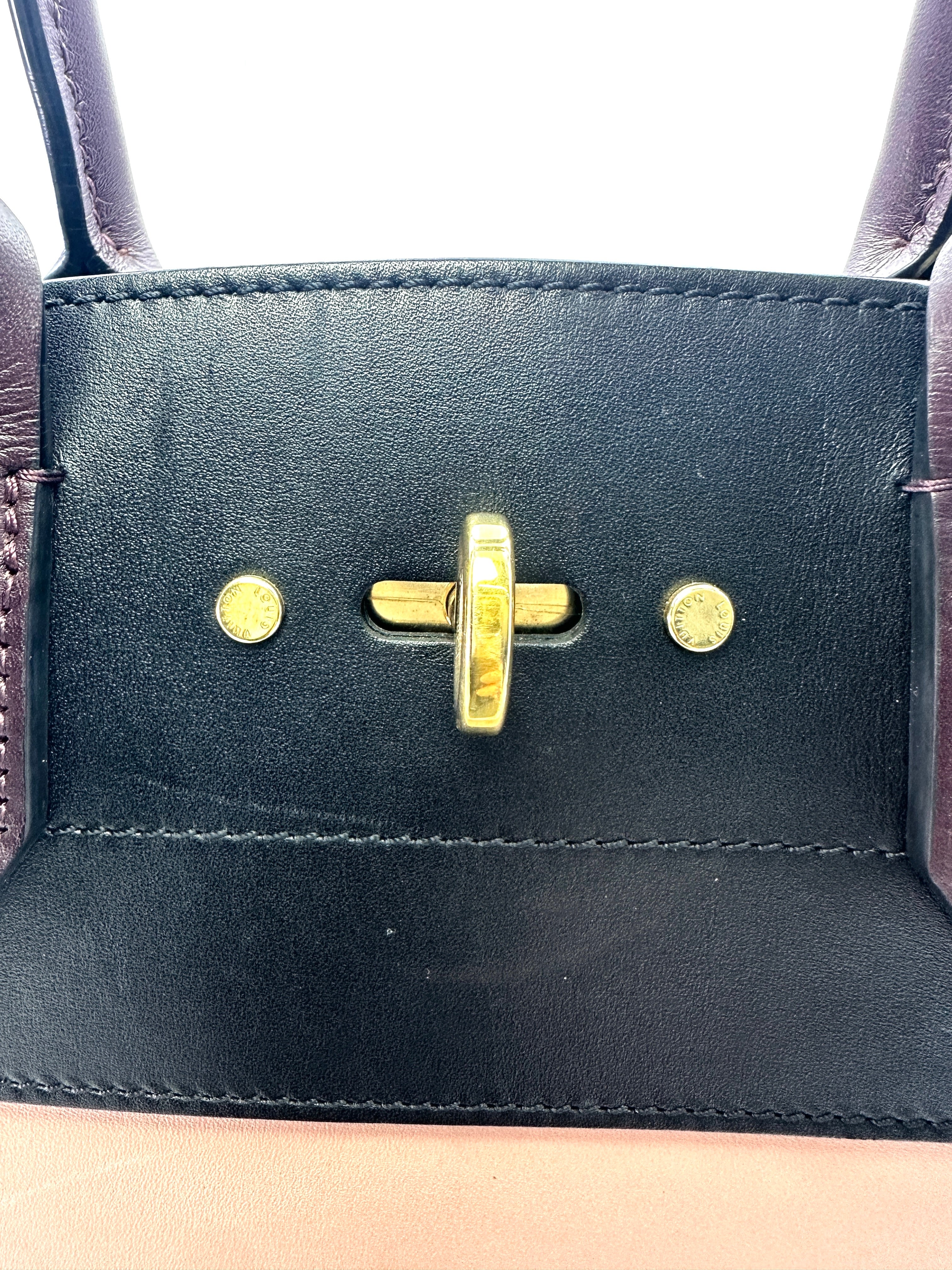 Louis Vuitton City Steamer Black/Pink Leather Handle Bag LV2303