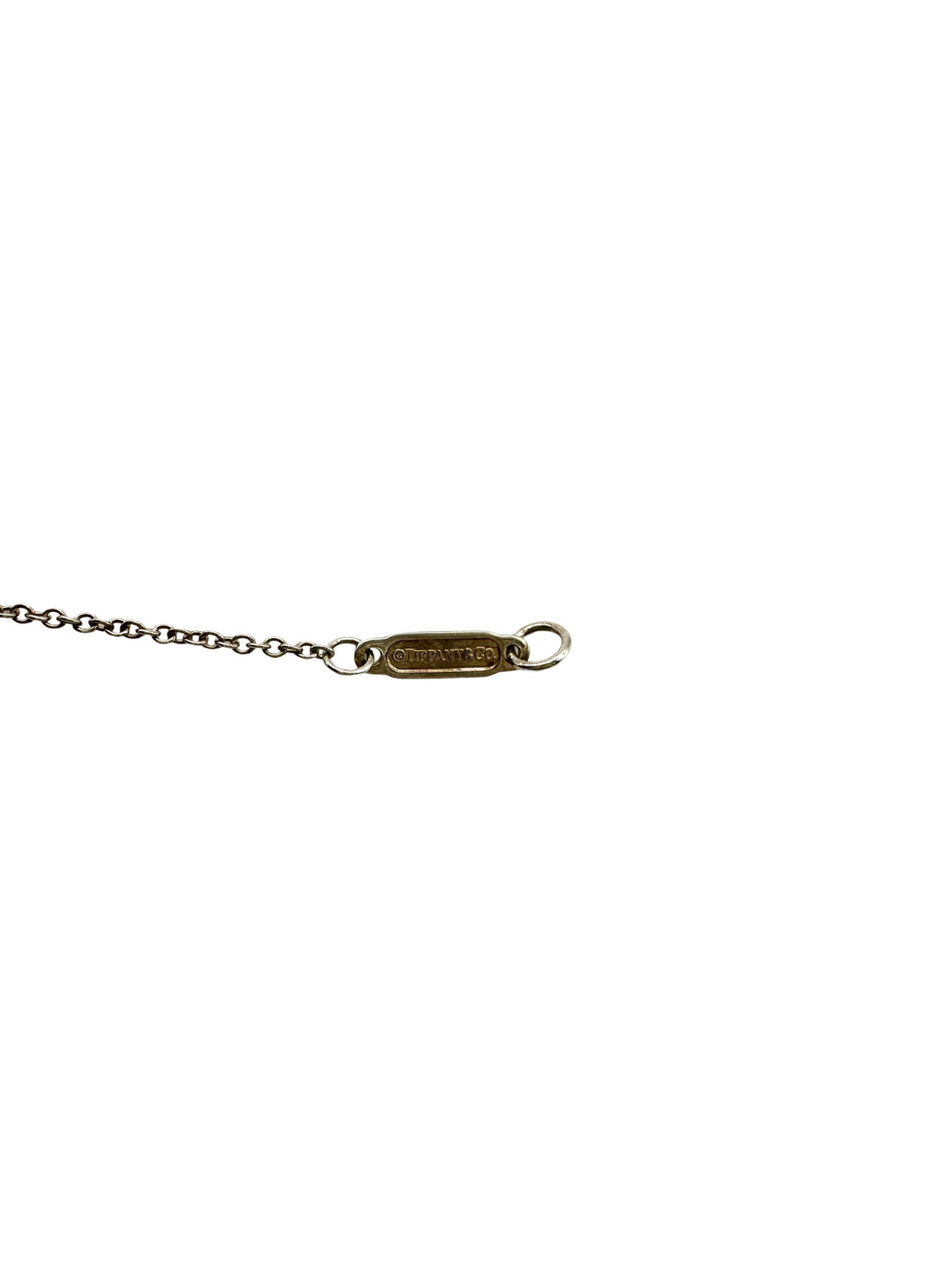 Tiffany&Co. Sterling Silver Enchant Heart Key Pendant Necklace IRIS113