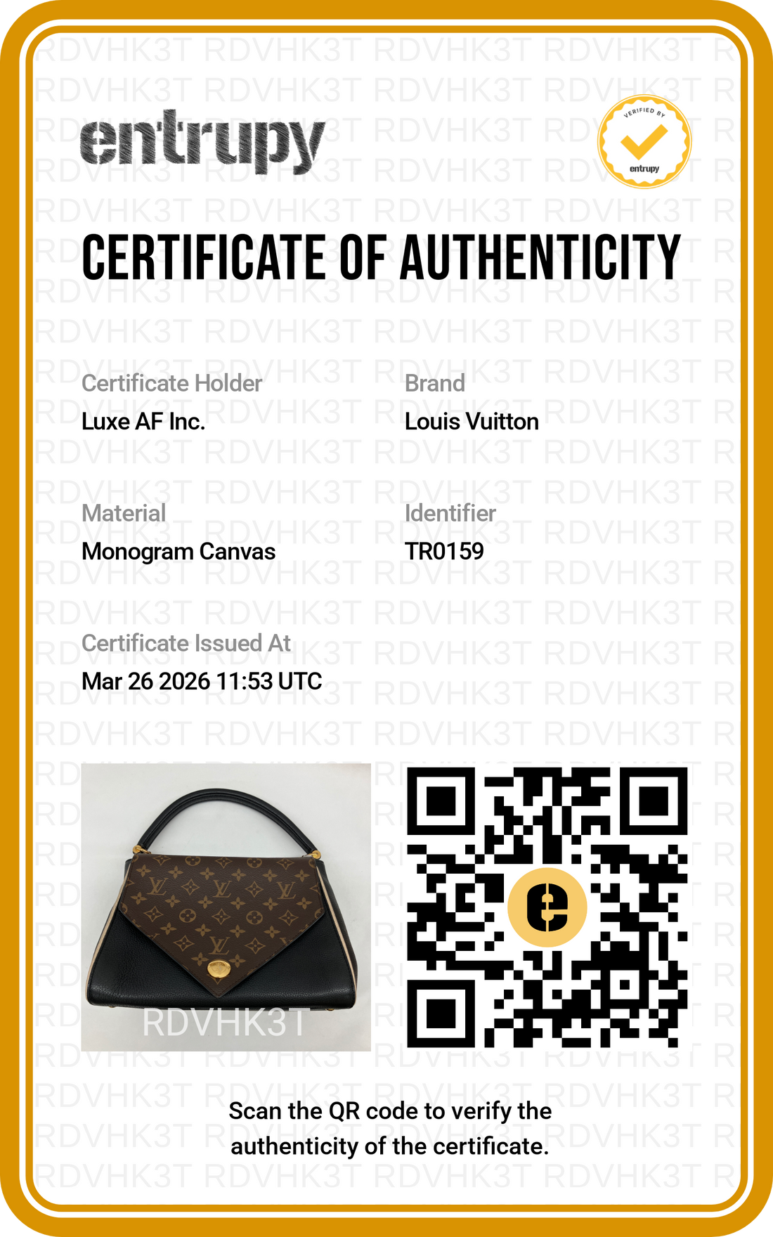 Louis Vuitton Double V Monogram Canvas And Black Grained Leather Handle Bag LV2324