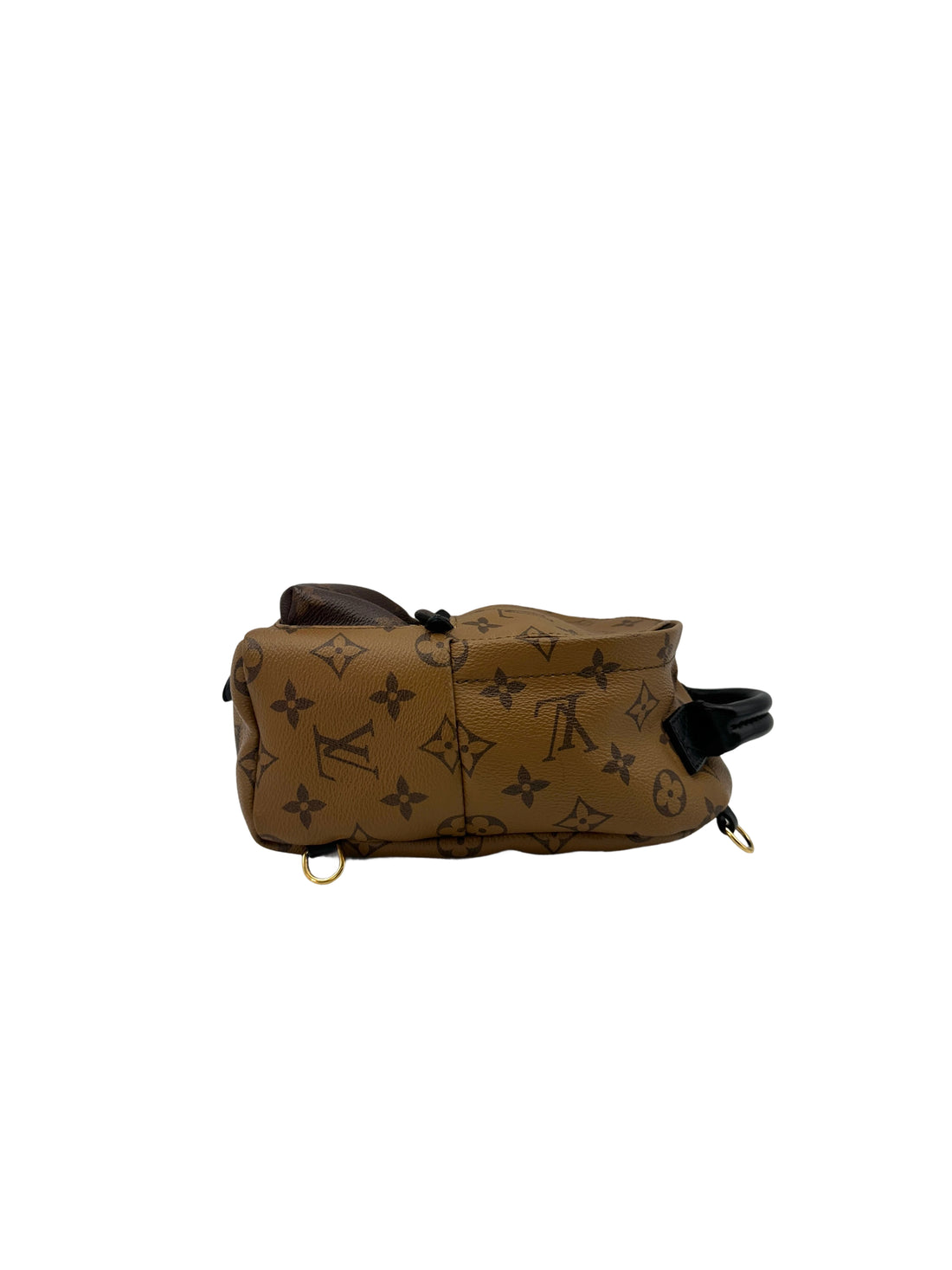 Louis Vuitton Palm Springs Brown Monogram Canvas Backpack LV2320