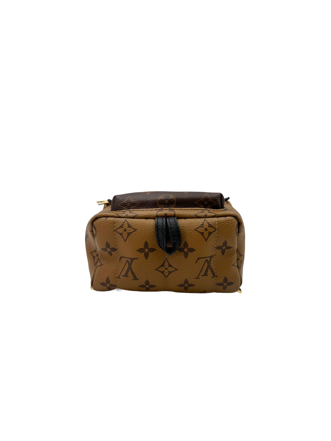 Louis Vuitton Palm Springs Brown Monogram Canvas Backpack LV2320