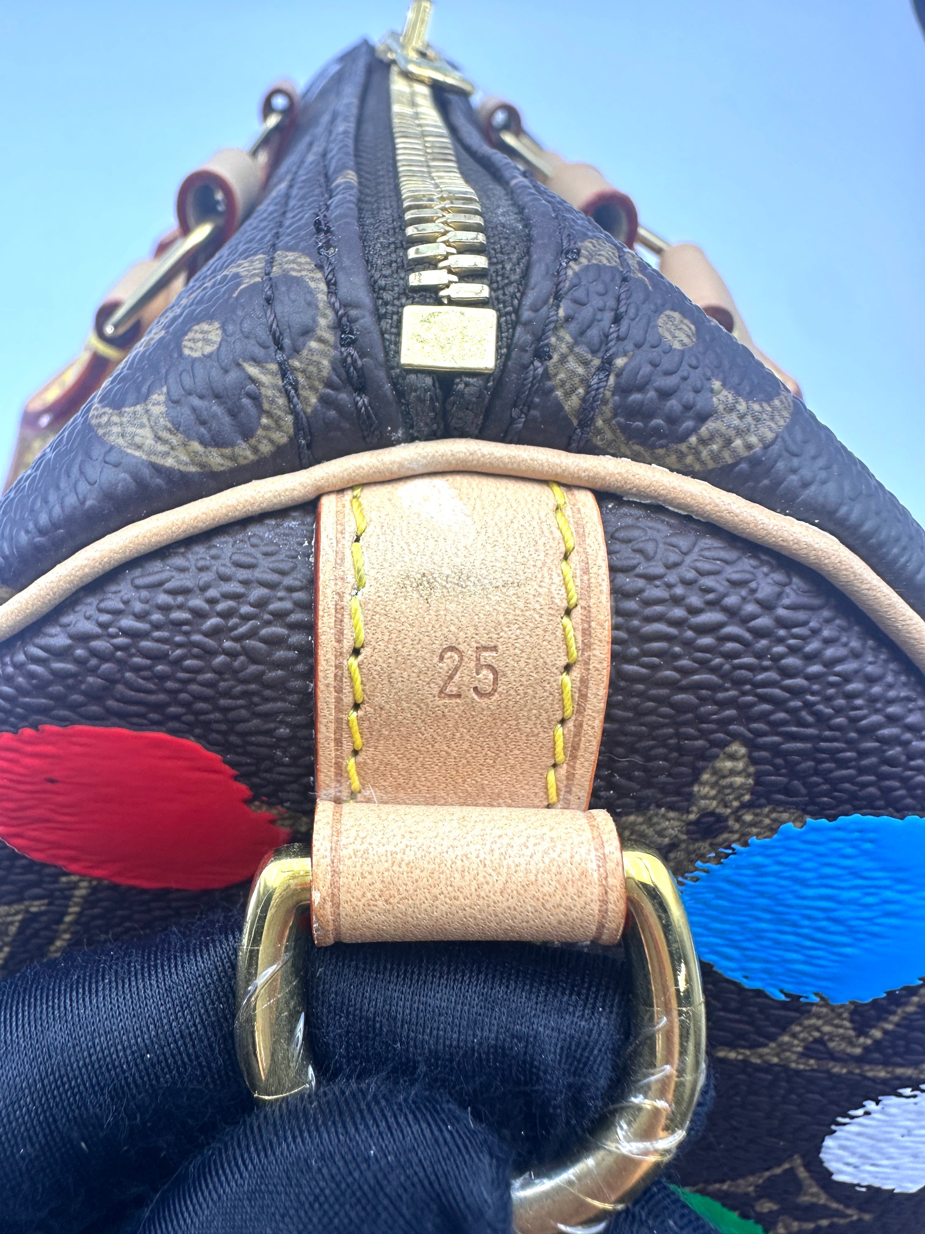 Louis Vuitton x Yayoi Kusama Speedy25 Monogram Printed Dots Handle Bag LV2329
