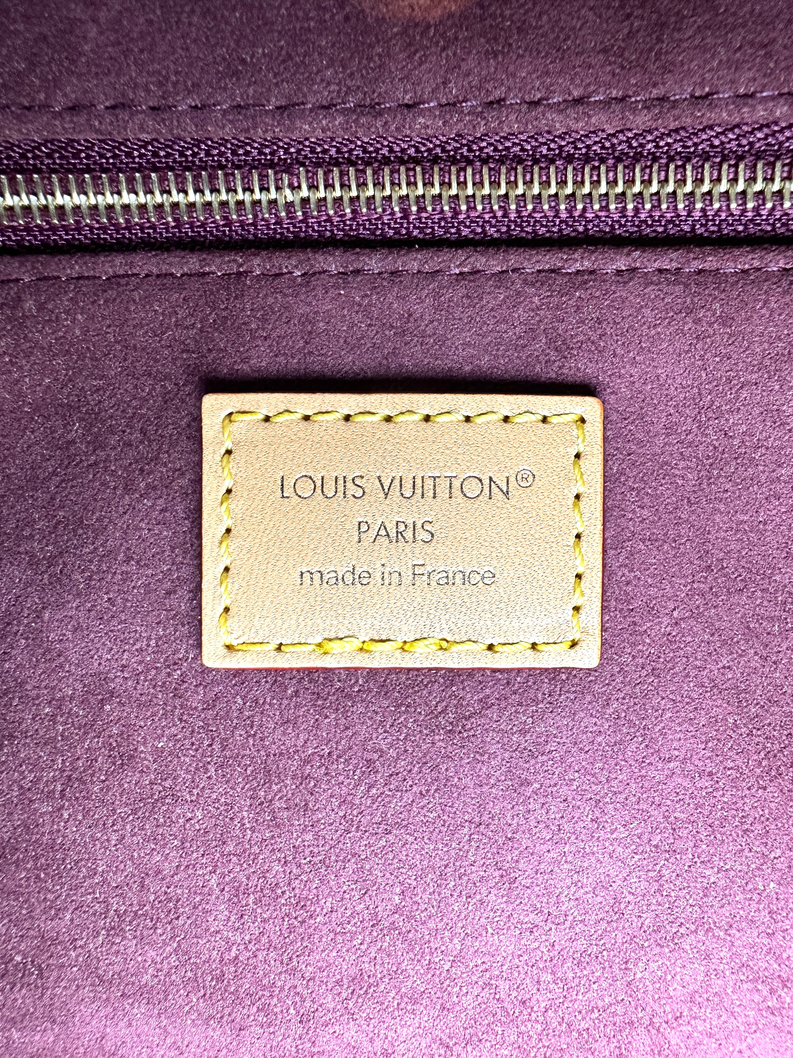Louis Vuitton Monogram Carryall BB Shoulder Bag LVC