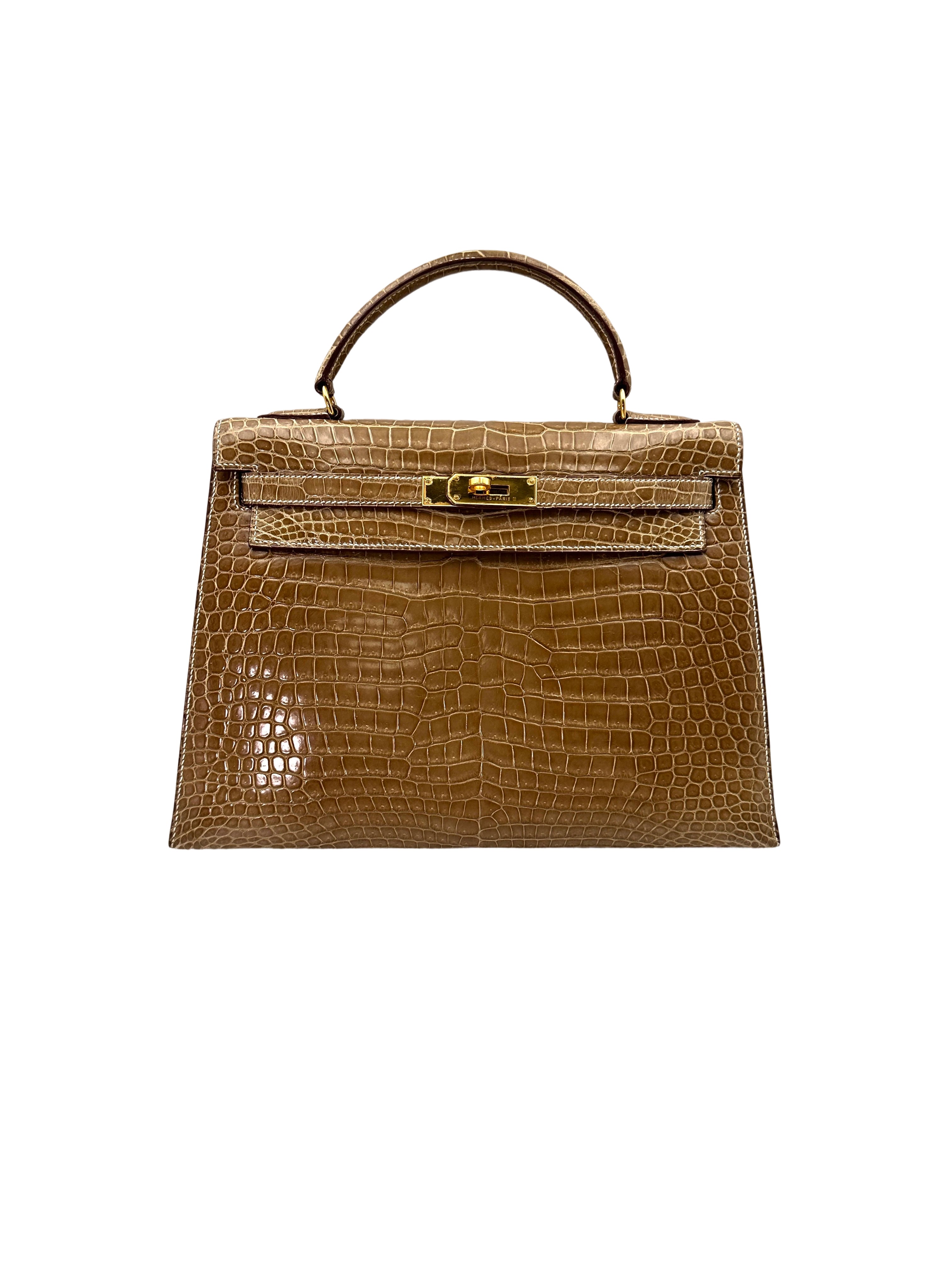 Hermes Kelly Shiny Alligator Handle Bag With Gold Hardware HR87