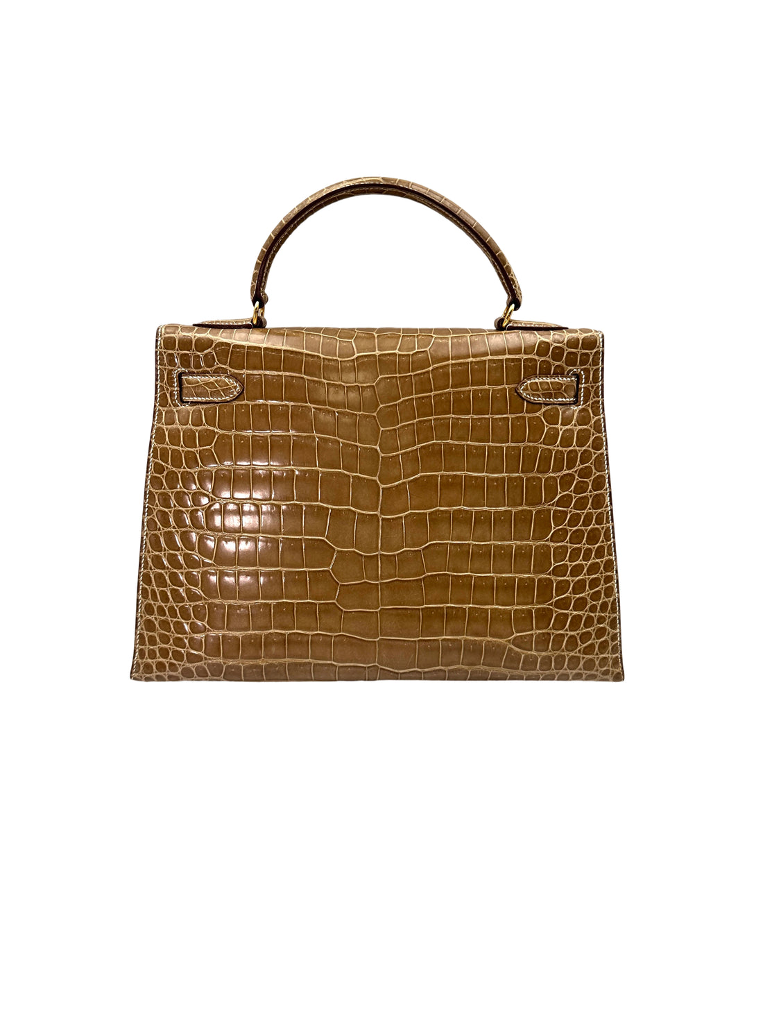 Hermes Kelly Shiny Alligator Handle Bag With Gold Hardware HR87