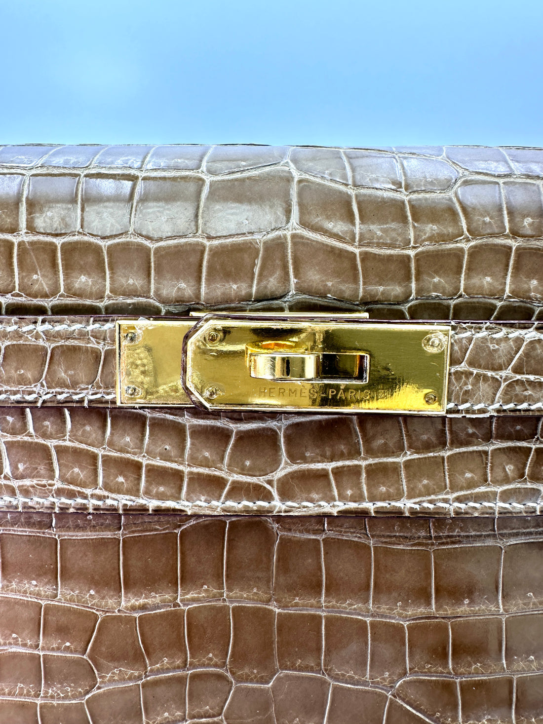 Hermes Kelly Shiny Alligator Handle Bag With Gold Hardware HR87