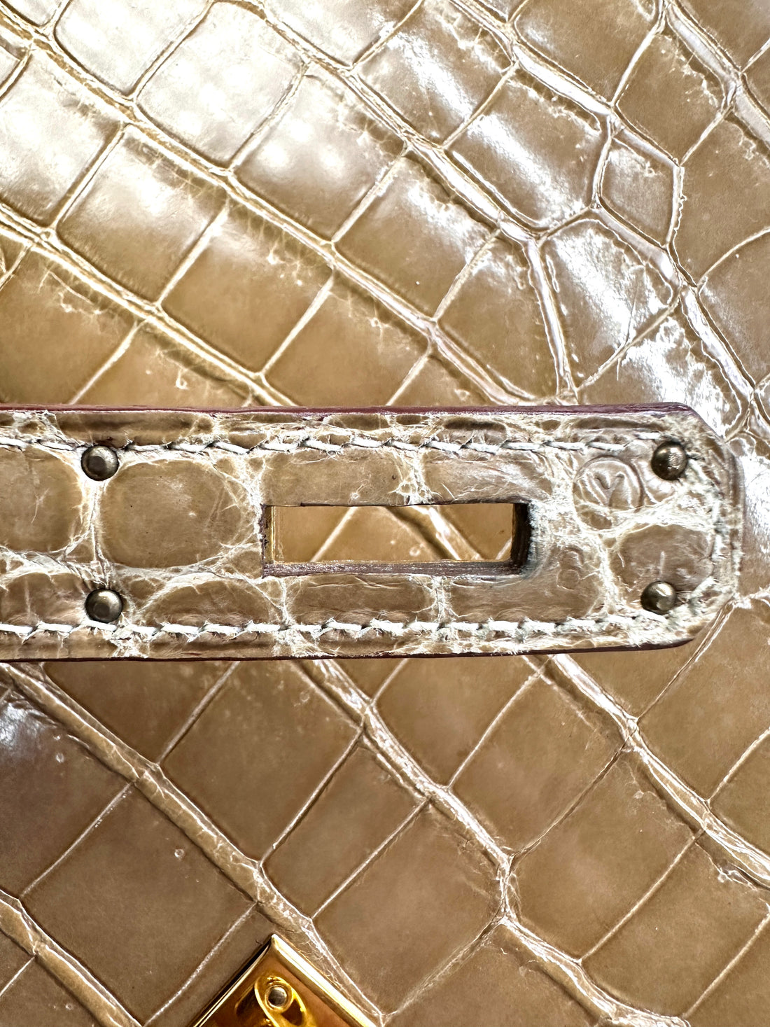 Hermes Kelly Shiny Alligator Handle Bag With Gold Hardware HR87