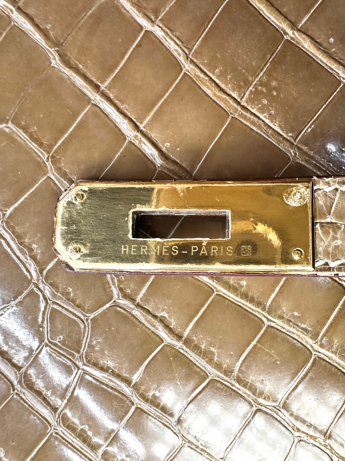 Hermes Kelly Shiny Alligator Handle Bag With Gold Hardware HR87