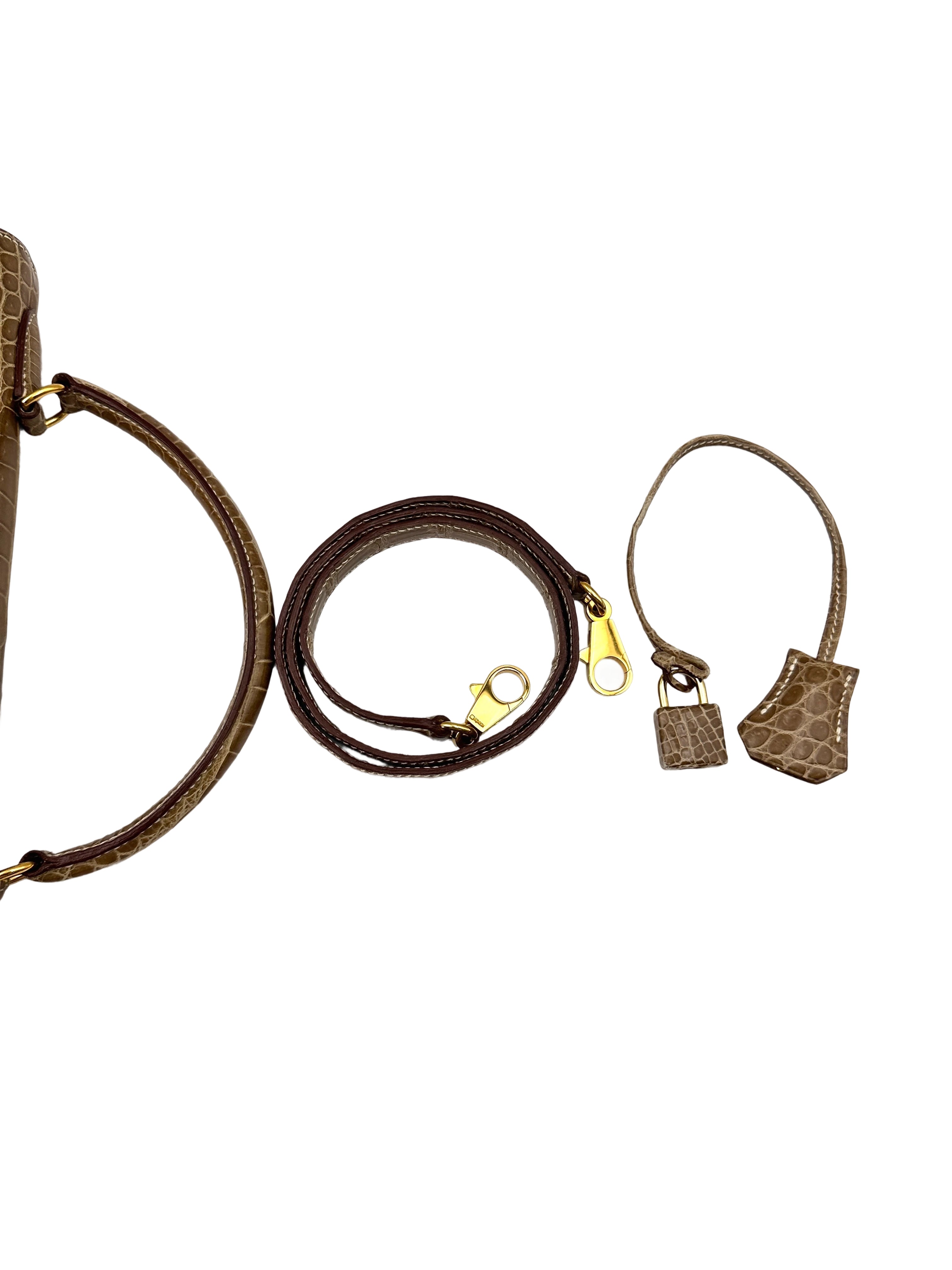 Hermes Kelly Shiny Alligator Handle Bag With Gold Hardware HR87