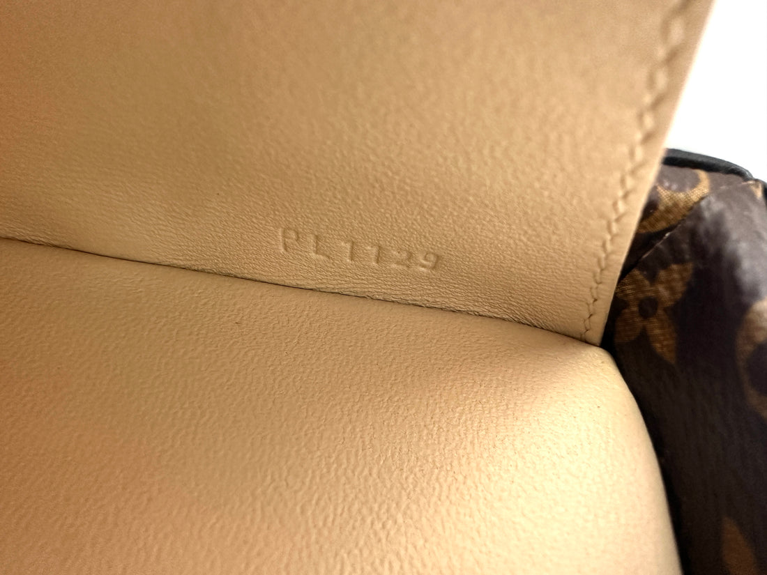 Louis Vuitton Petite Malle Damier Tressage Monogram & Leather Shoulder Bag IRIS141