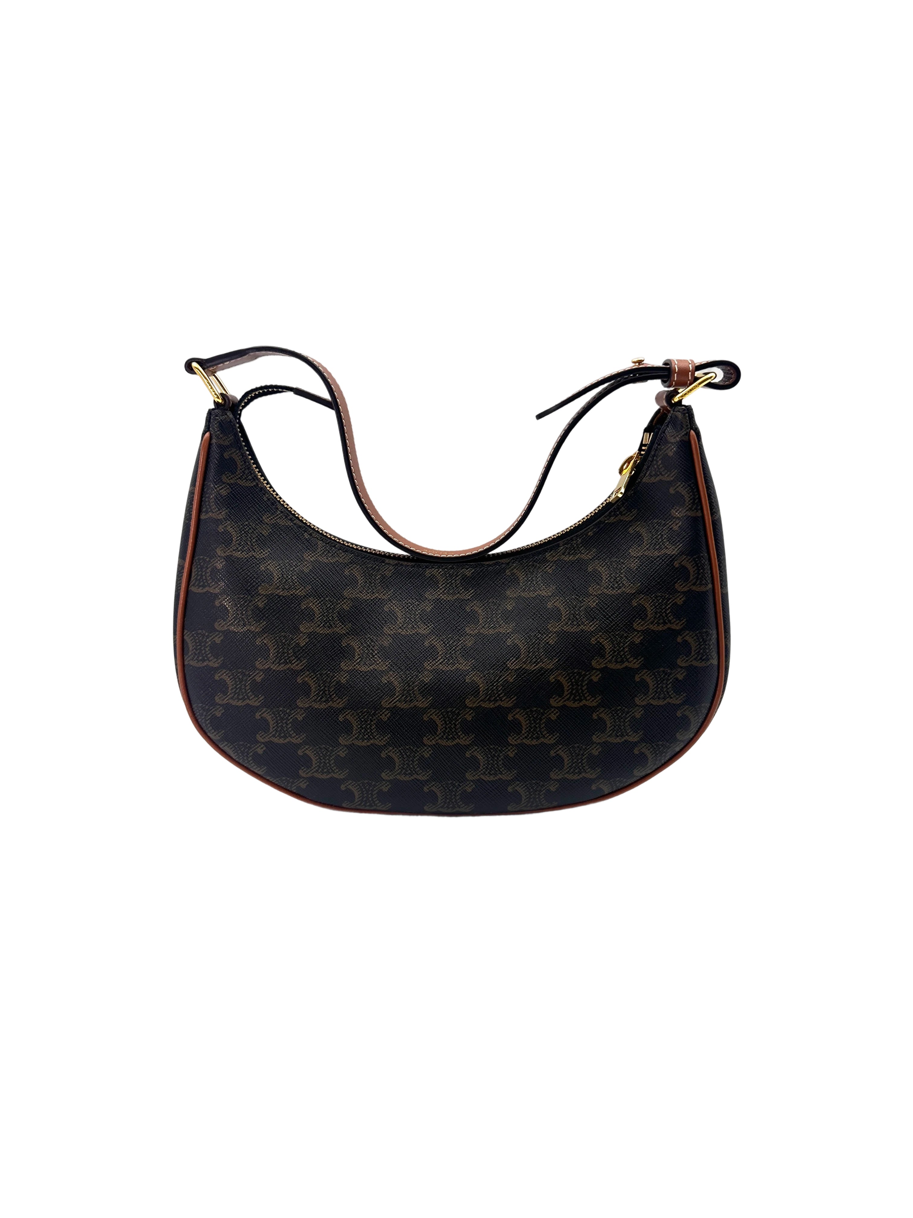 Celine Triomphe Canvas Ava Bag CE143