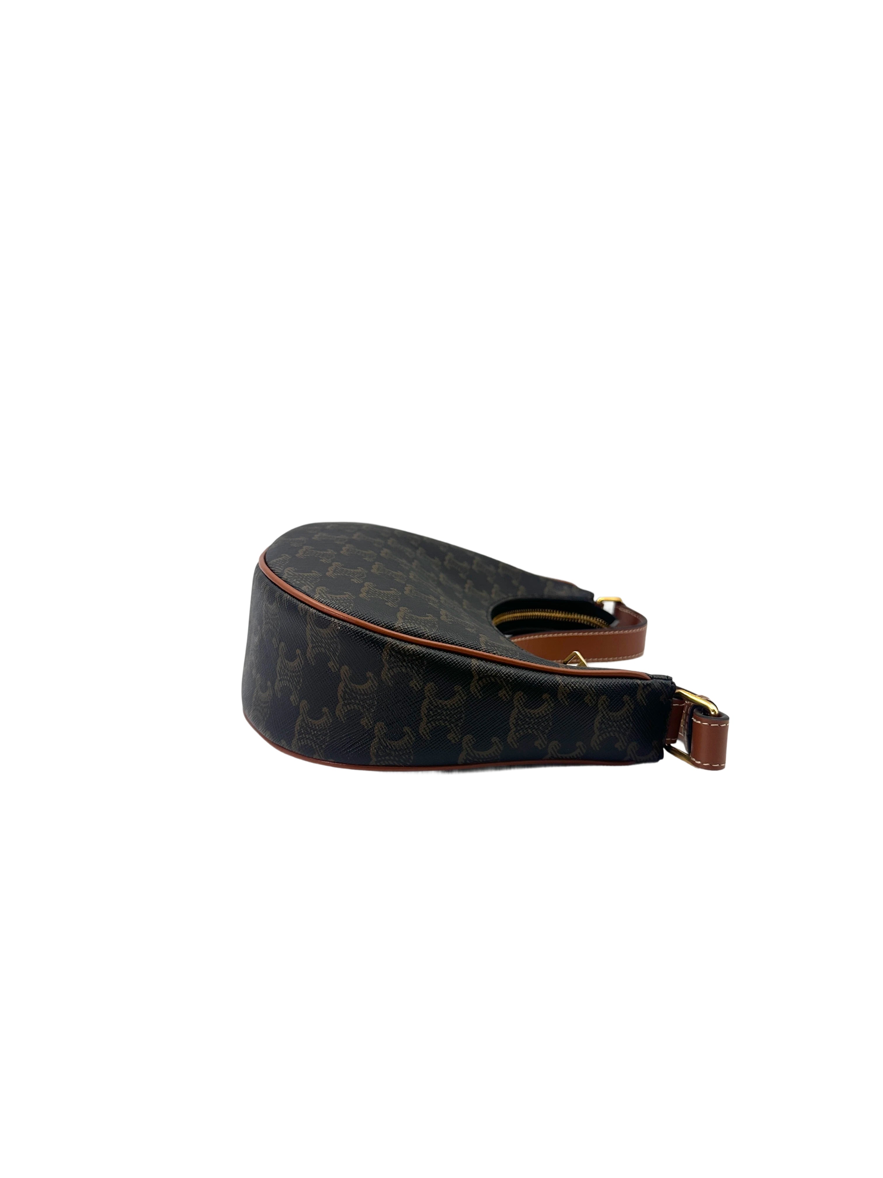 Celine Triomphe Canvas Ava Bag CEE260422
