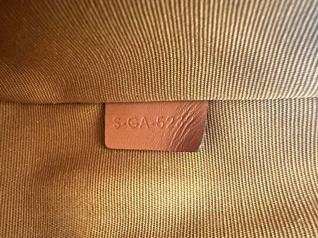 Celine Triomphe Canvas Ava Bag CEE260422