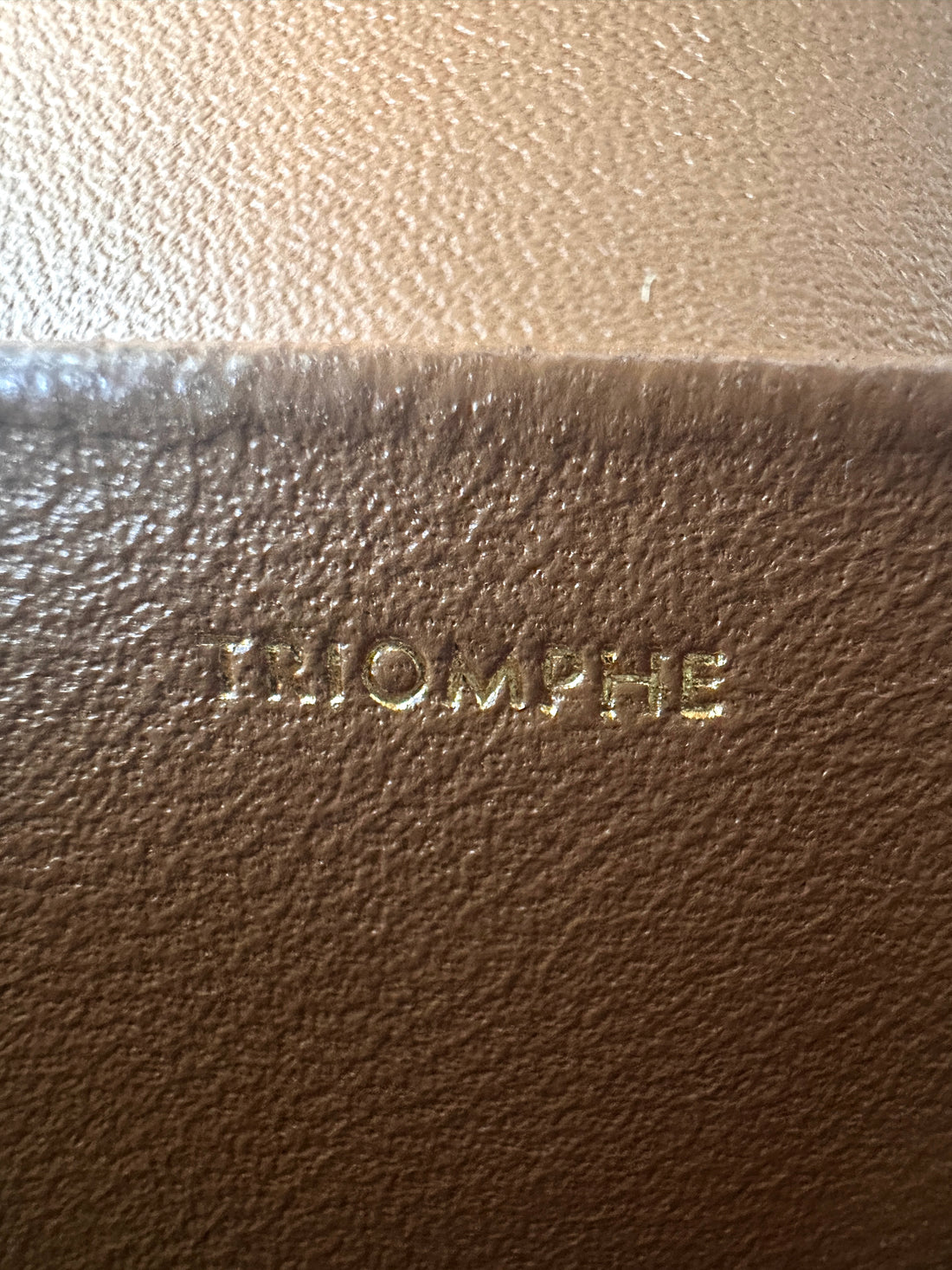 Celine Triomphe Canvas Claude Shoulder Bag CE142