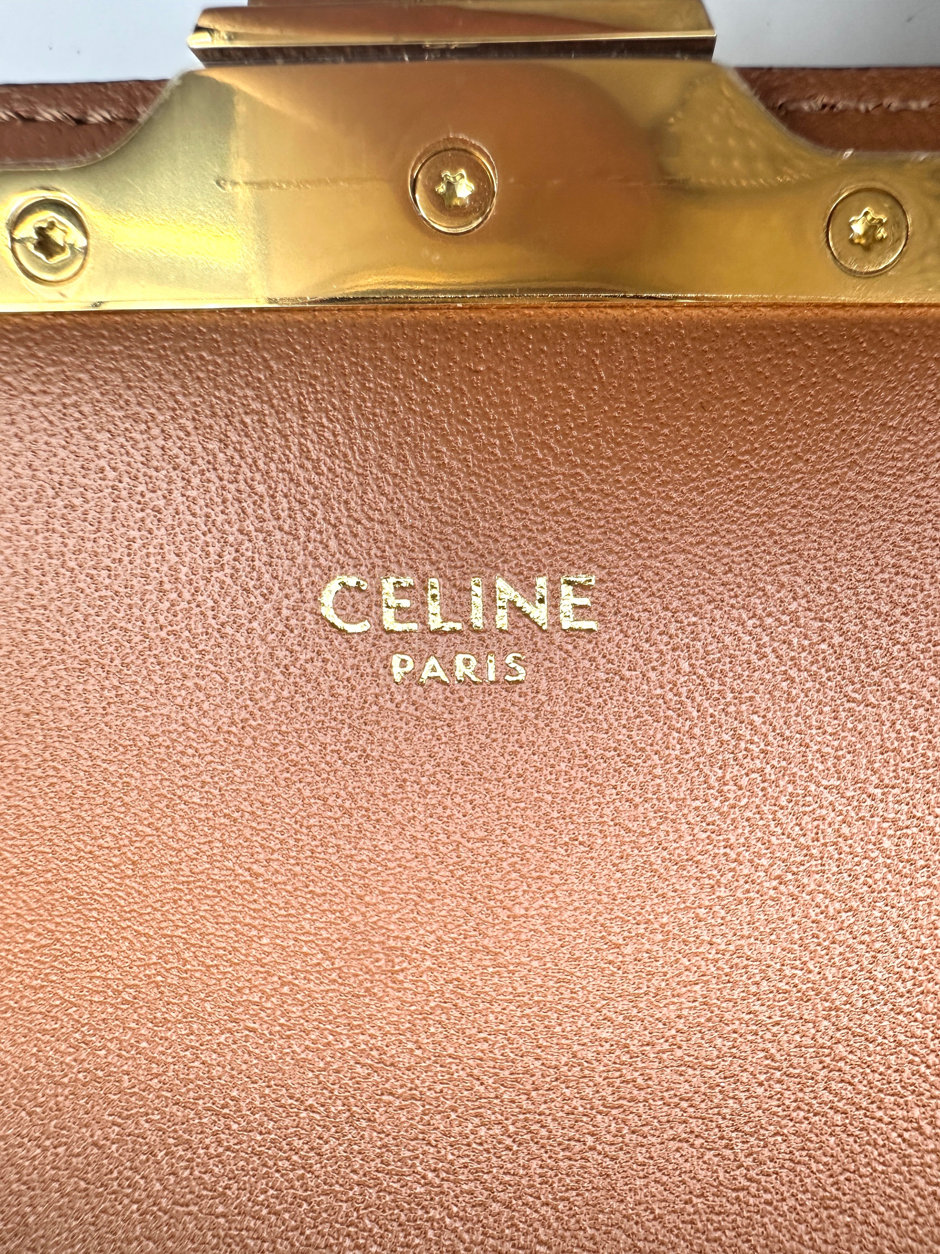 Celine Triomphe Canvas Claude Shoulder Bag CE142