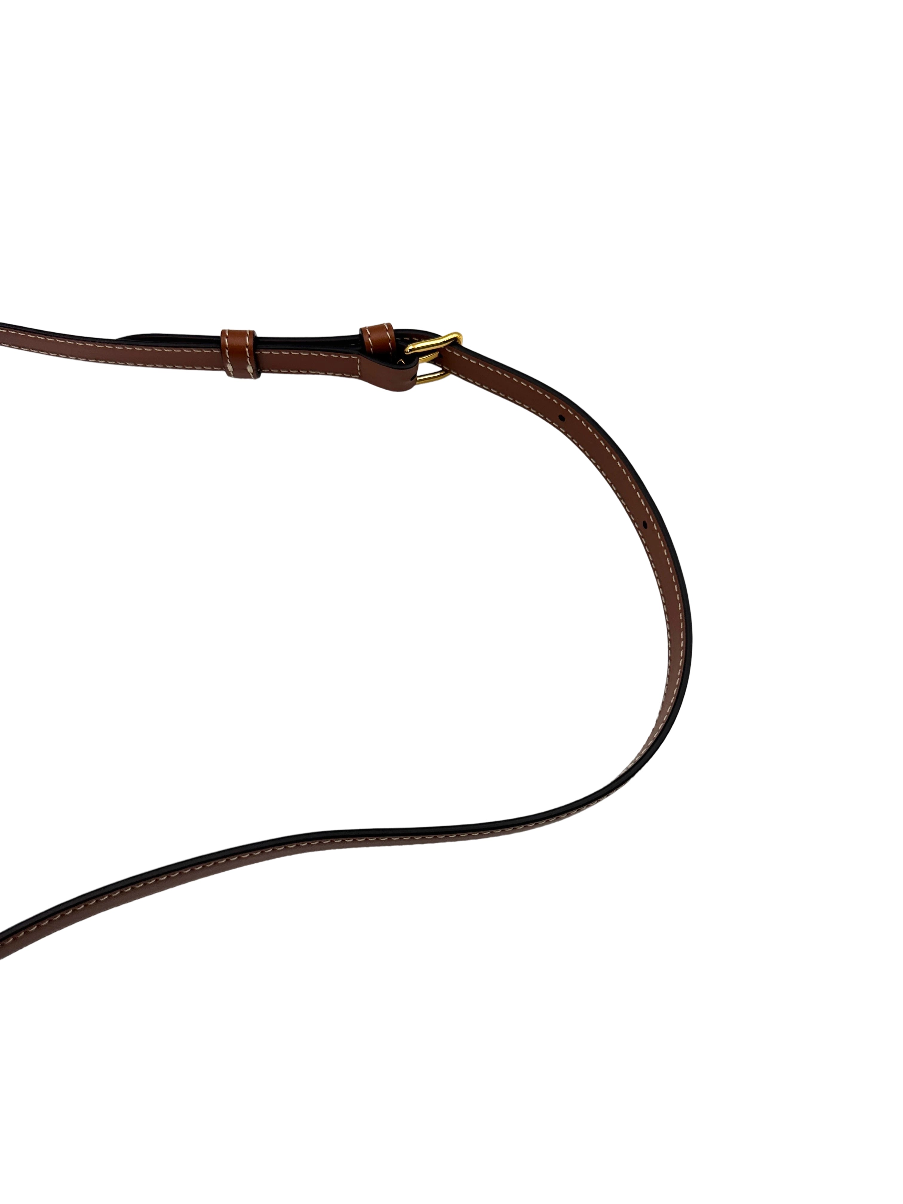Celine Triomphe Canvas Claude Shoulder Bag CE142