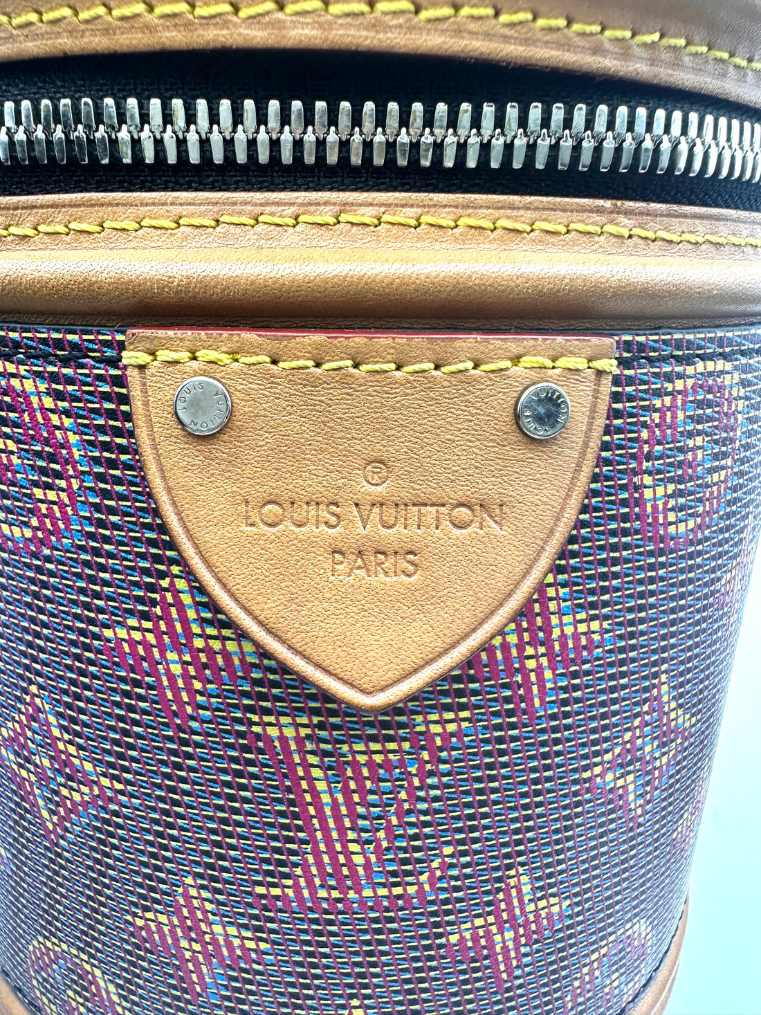 Louis Vuitton Limited Edition LV Pop Monogram Cannes Handle Bag LV2403