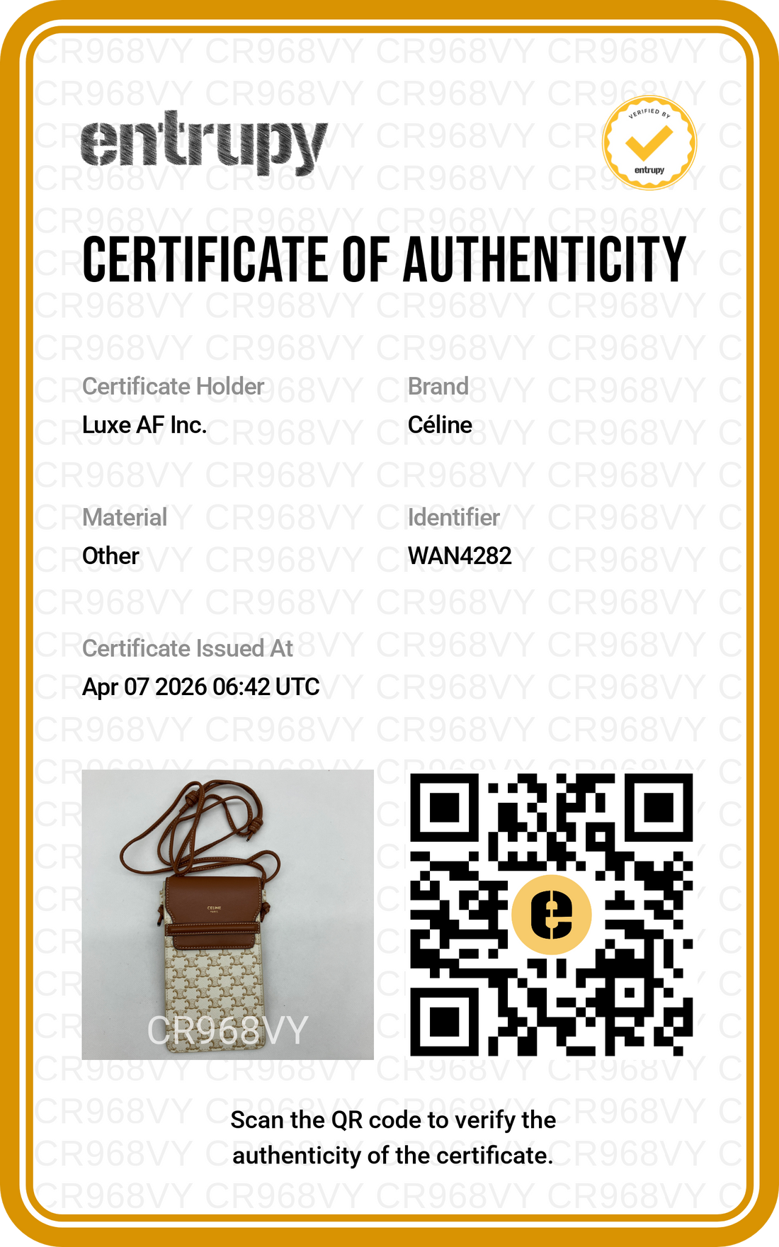 Celine Triomphe Canvas Phone Pouch CE146