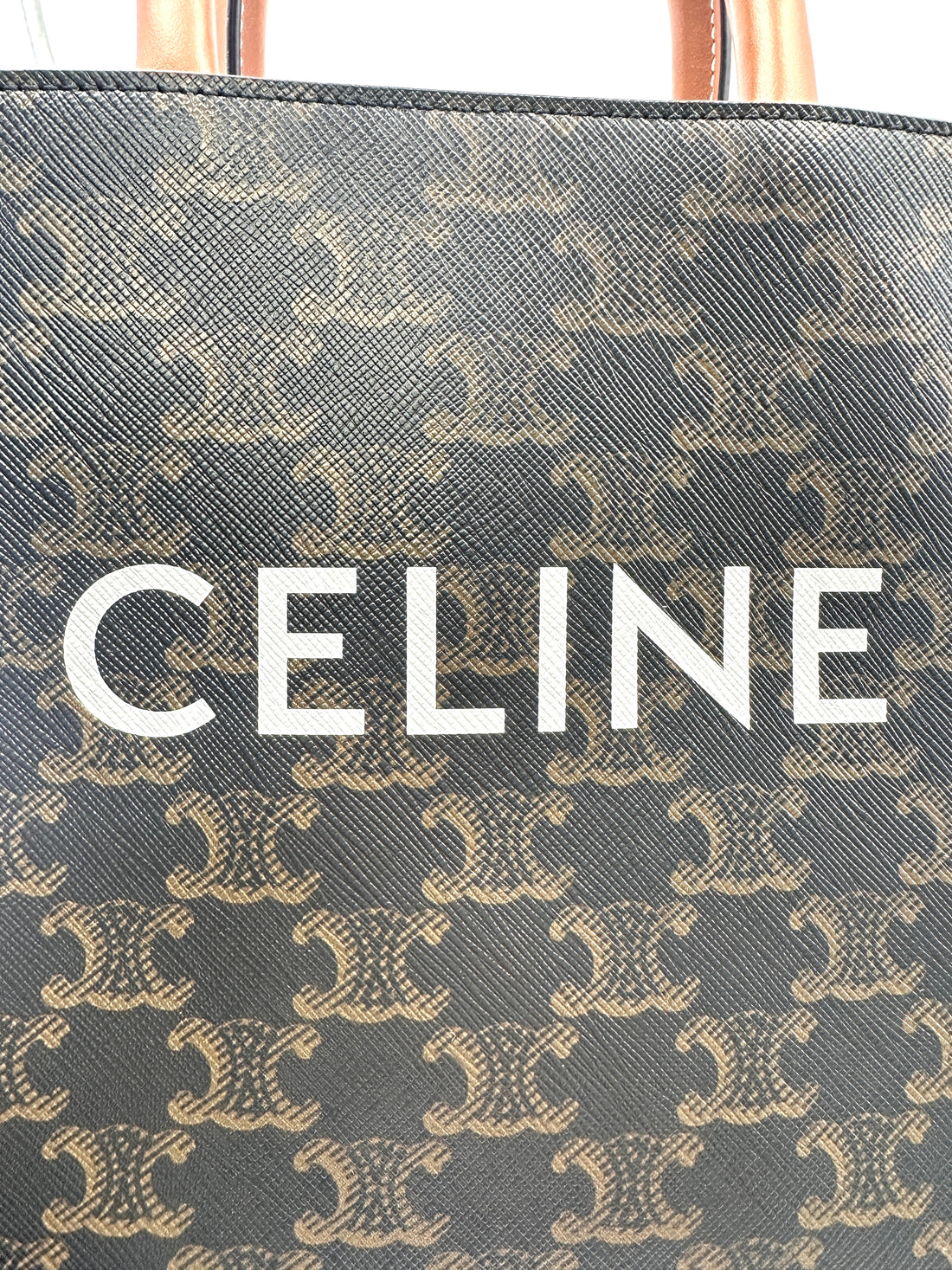 Celine Vertical Cabas Triomphe Canvas Handle Bag CEJ260423