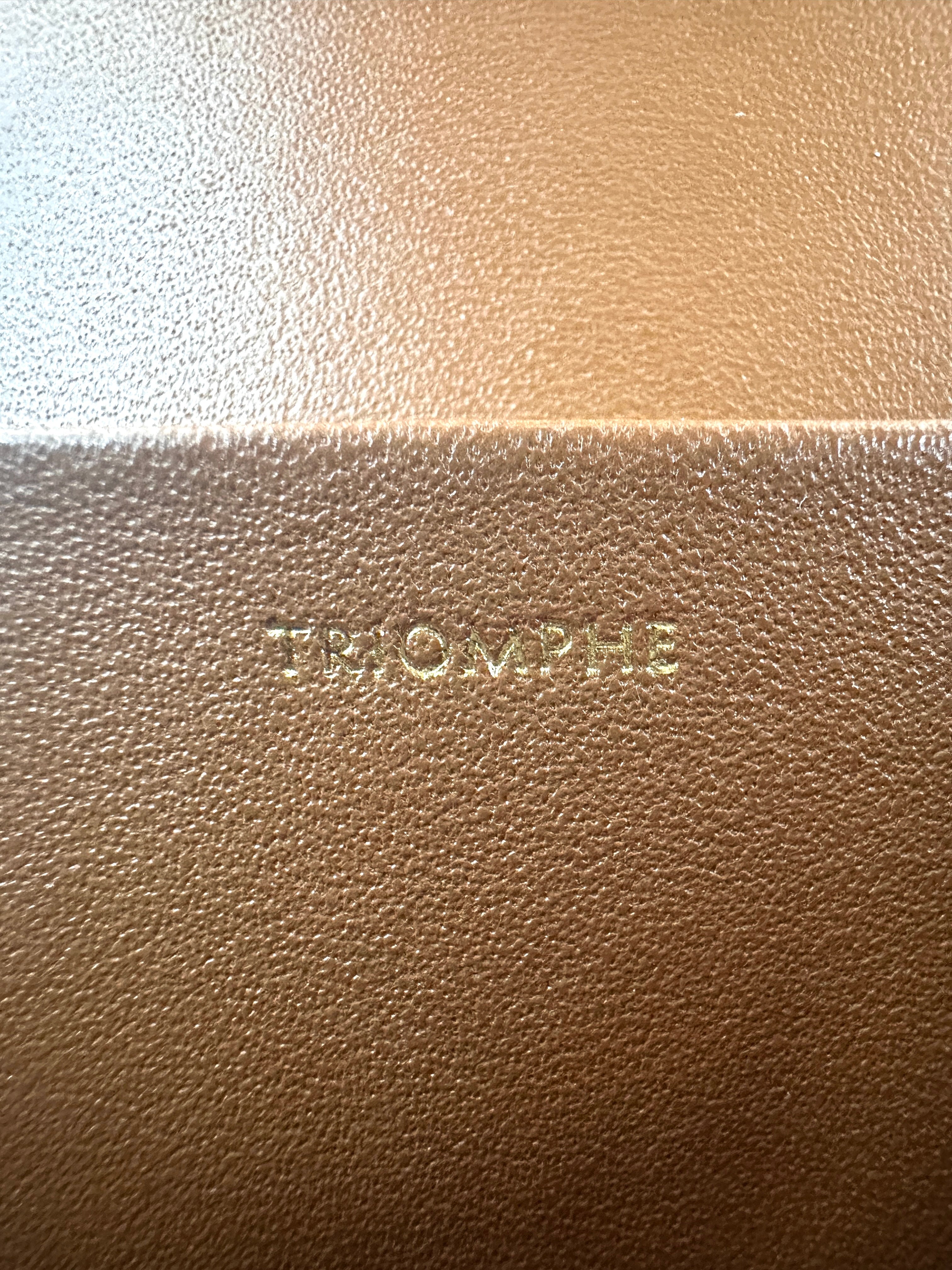 Celine Triomphe Canvas Claude Shoulder Bag CE147