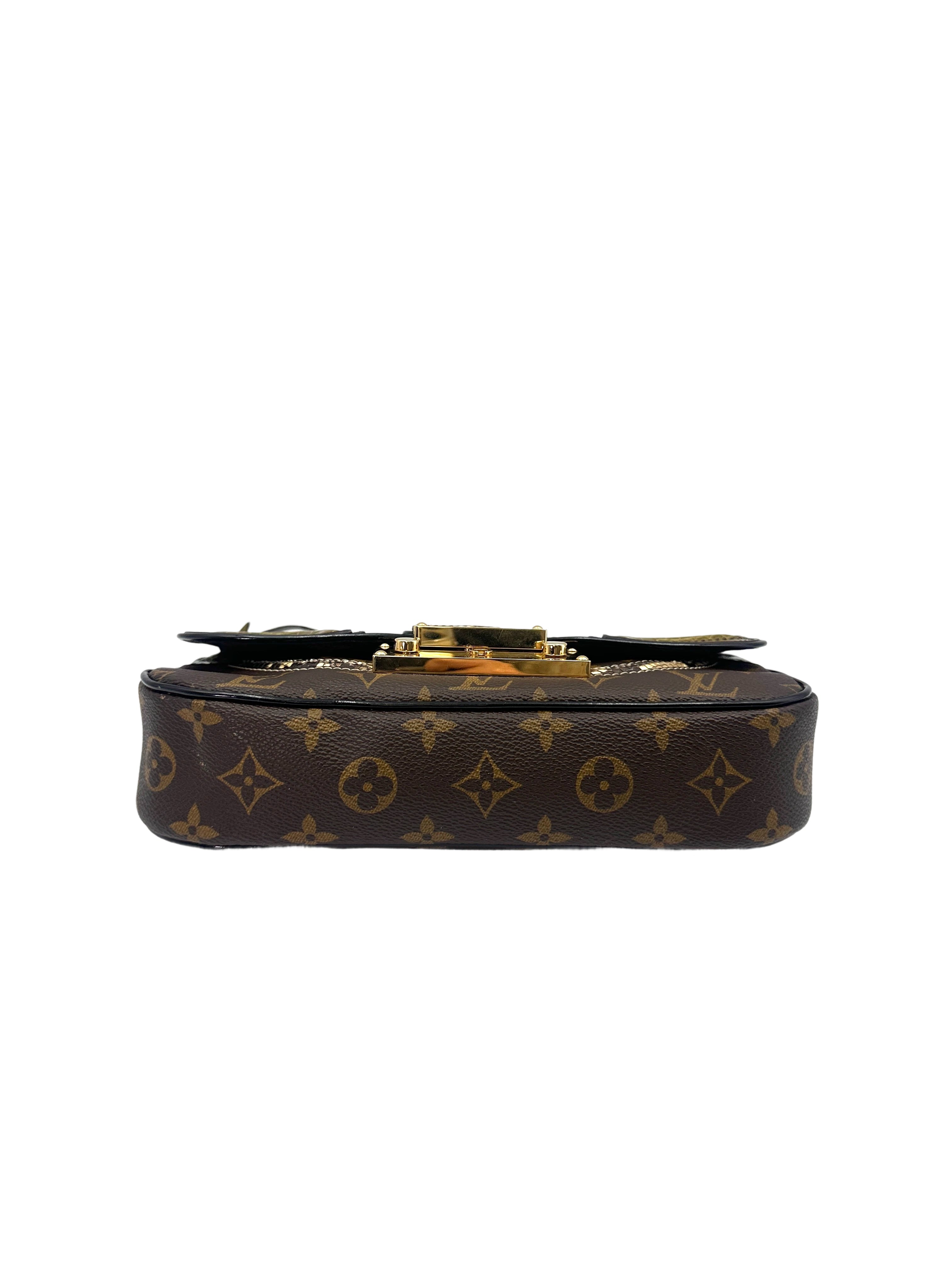 Louis Vuitton Monogram Canvas/Python/Alligator Shoulder Bag IRIS148