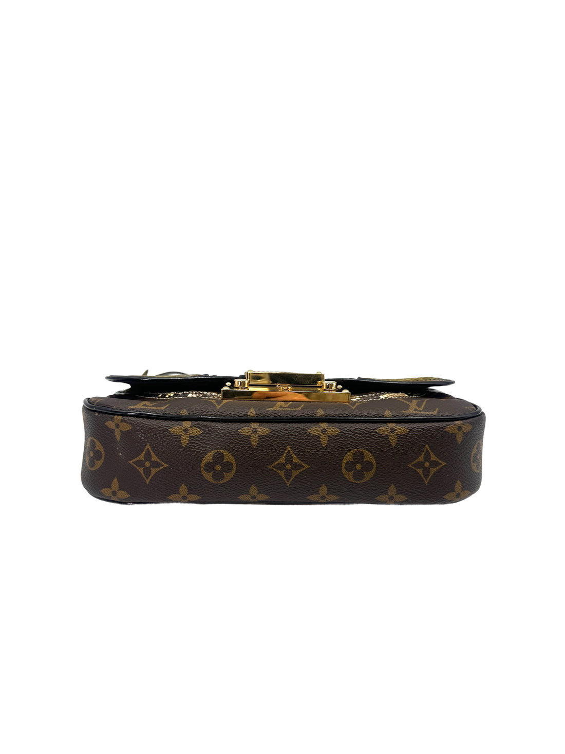 Louis Vuitton Monogram Canvas/Python/Alligator Shoulder Bag IRIS148