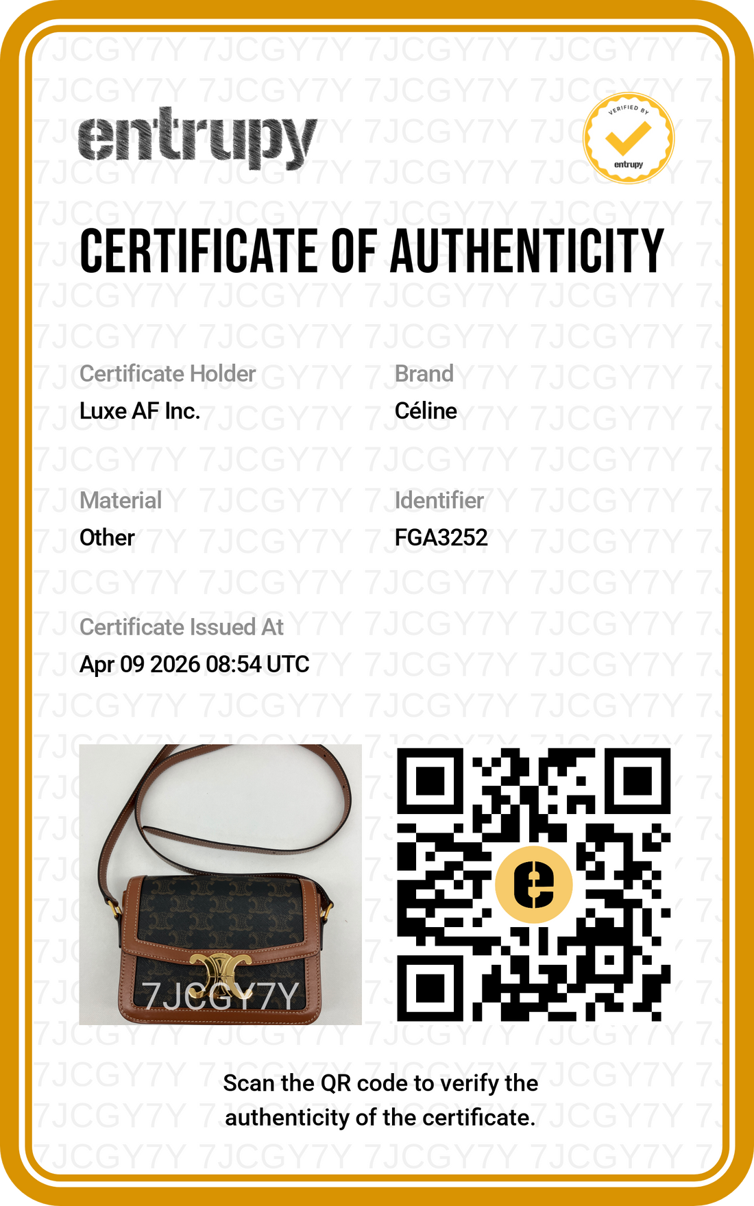 Celine Teen Triomphe Brown Triomphe Canvas Shoulder Bag CED260422