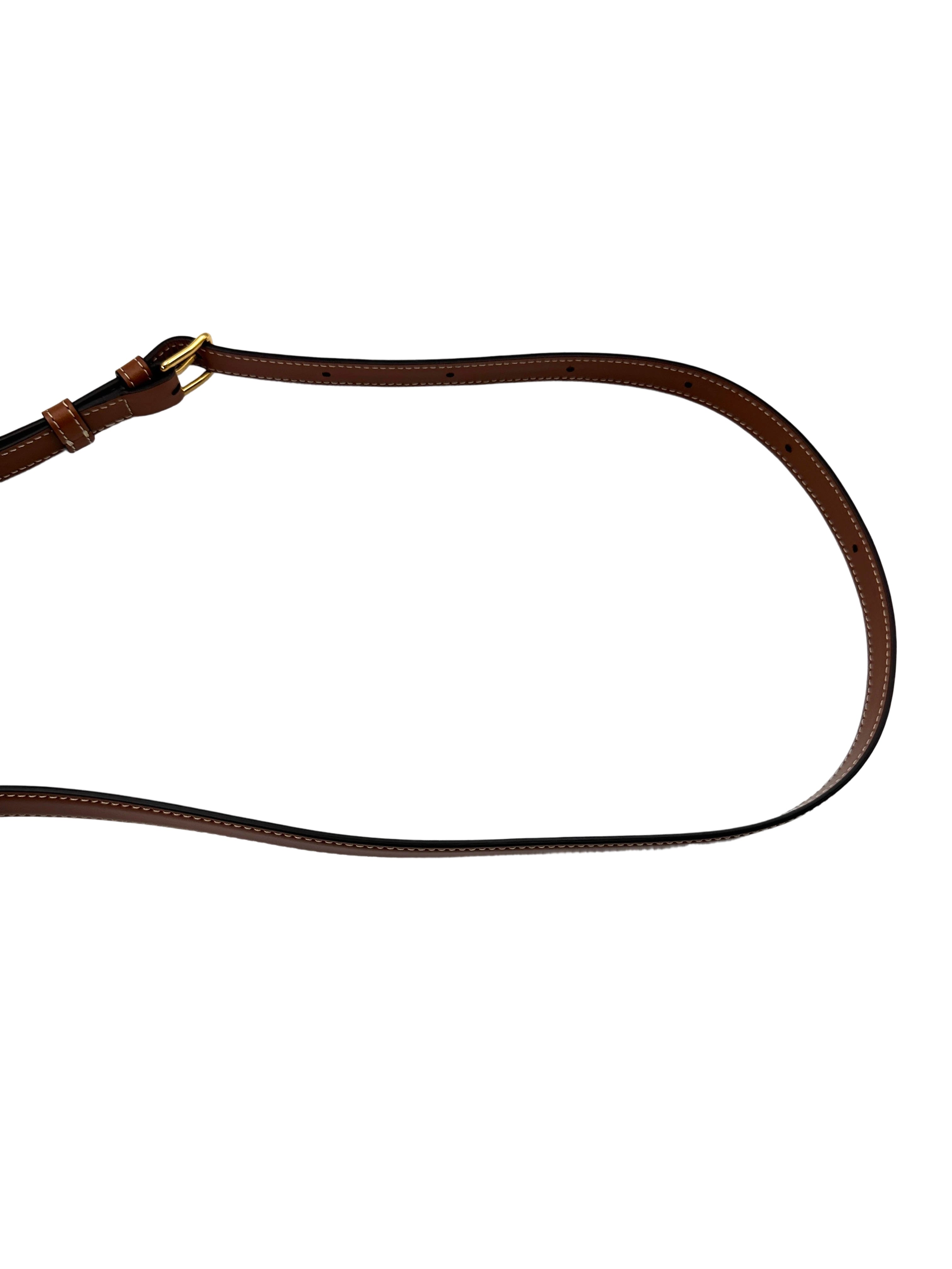 Celine Teen Triomphe Brown Triomphe Canvas Shoulder Bag CED260422