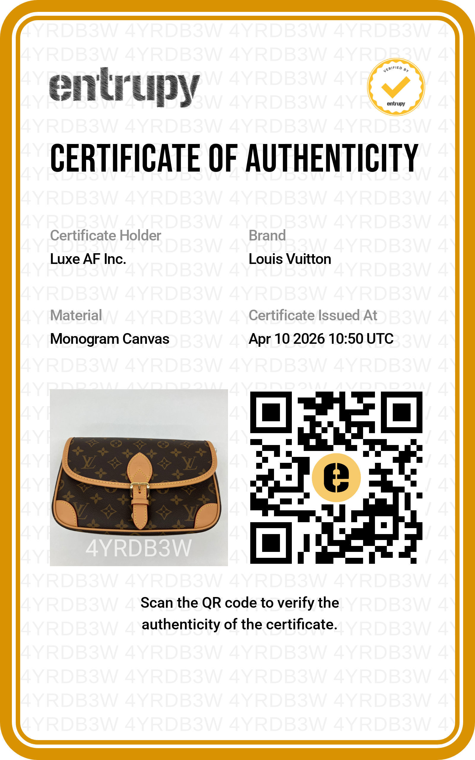 Louis Vuitton Diane Monogram Canvas Shoulder Bag LVE