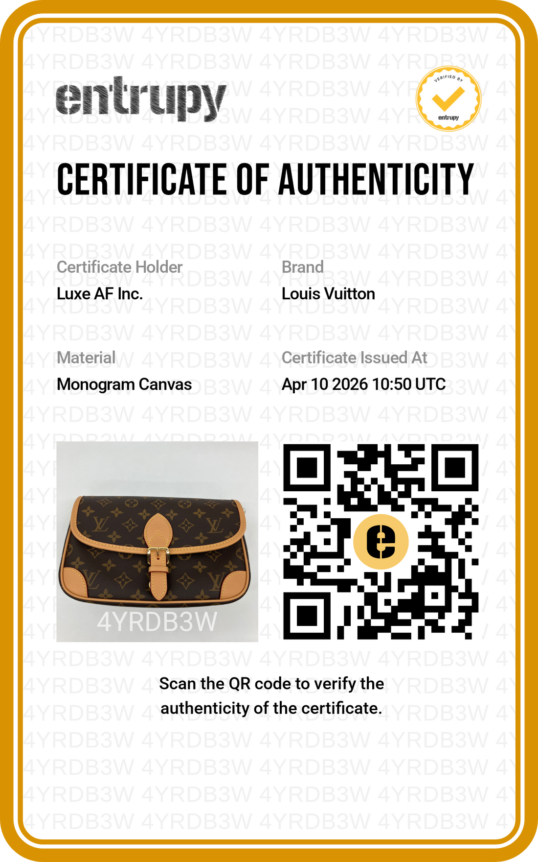Louis Vuitton Diane Monogram Canvas Shoulder Bag LVE