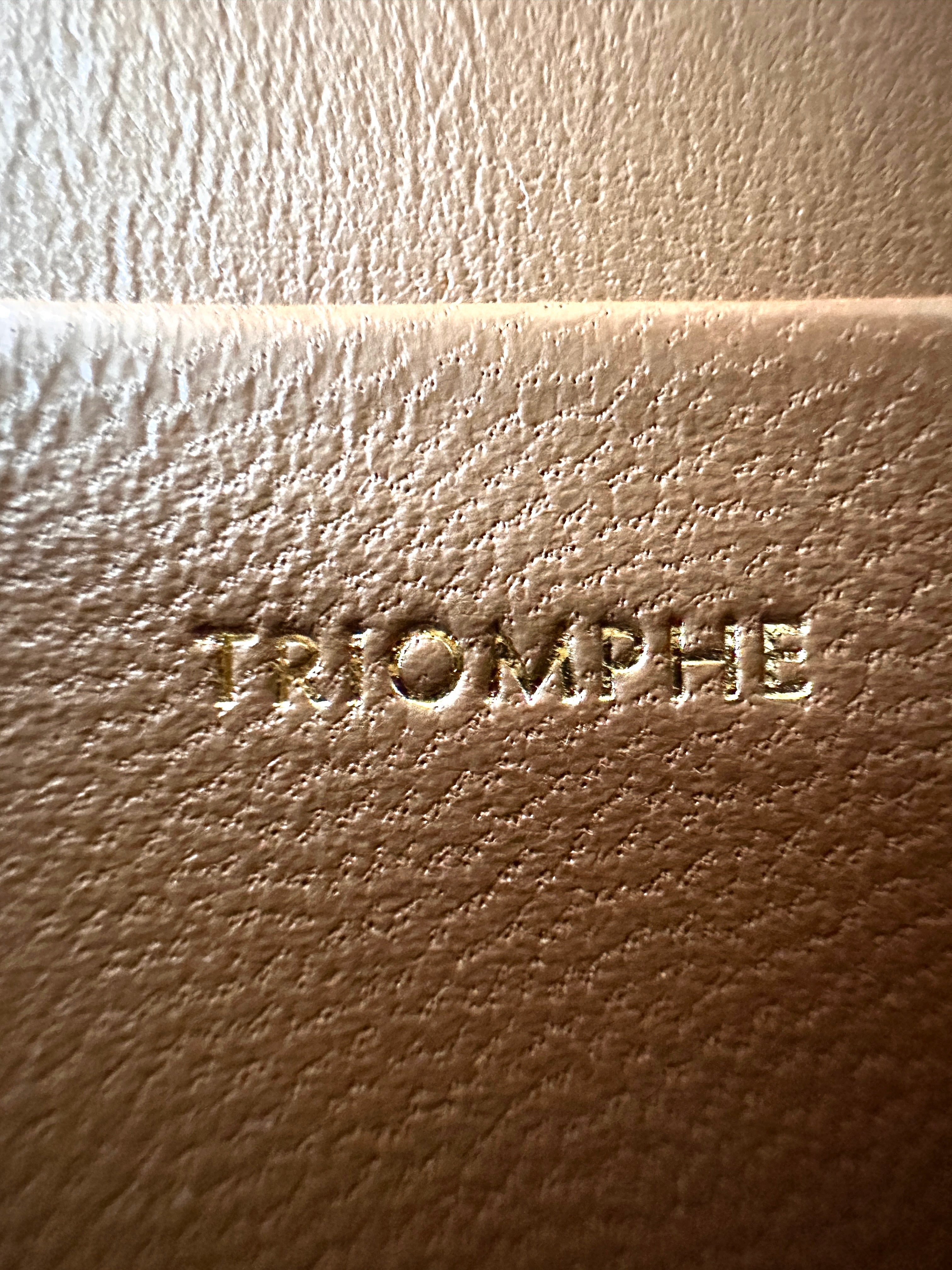 Celine Teen Triomphe White Textile Shoulder Bag CE150