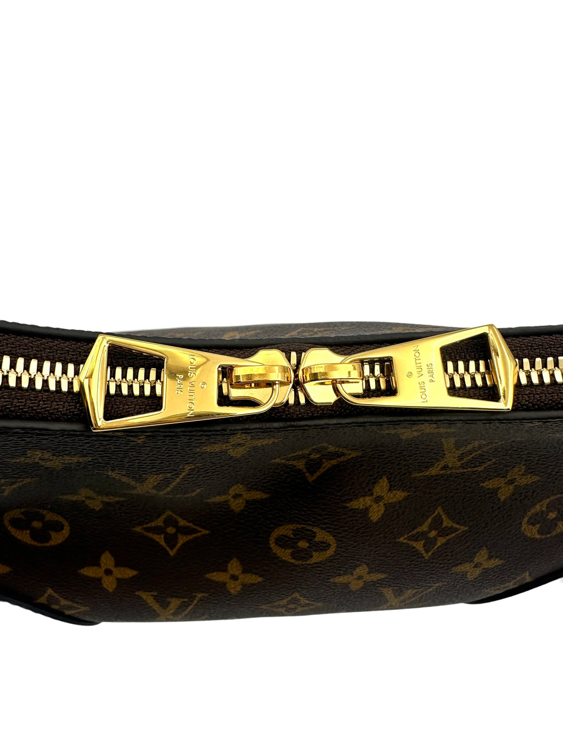 Louis Vuitton Bunlogne Monogram Canvas Shoulder Bag With Black Cowhide Leather Trim LVF260413
