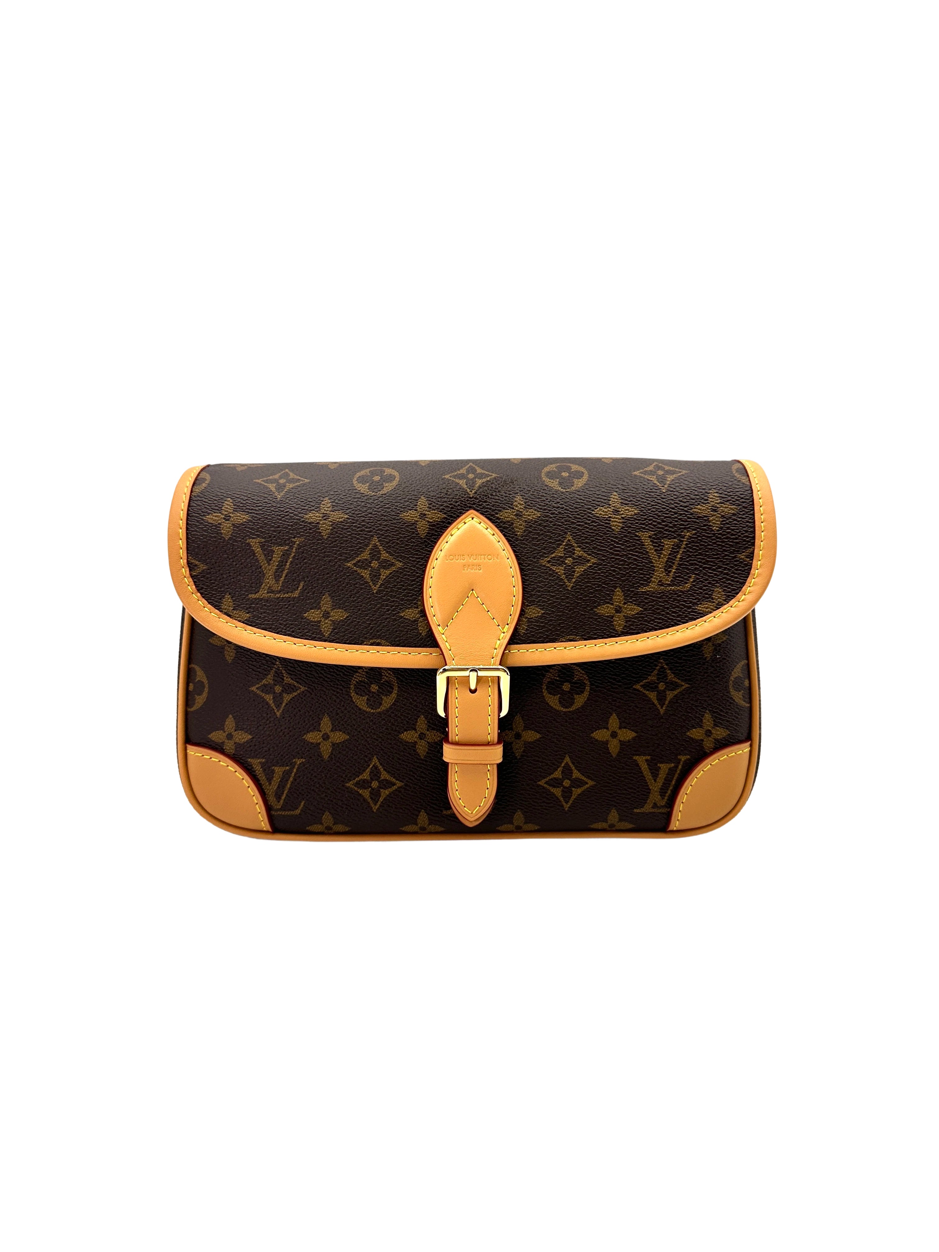 Louis Vuitton Diane Monogram Canvas Shoulder Bag LVE