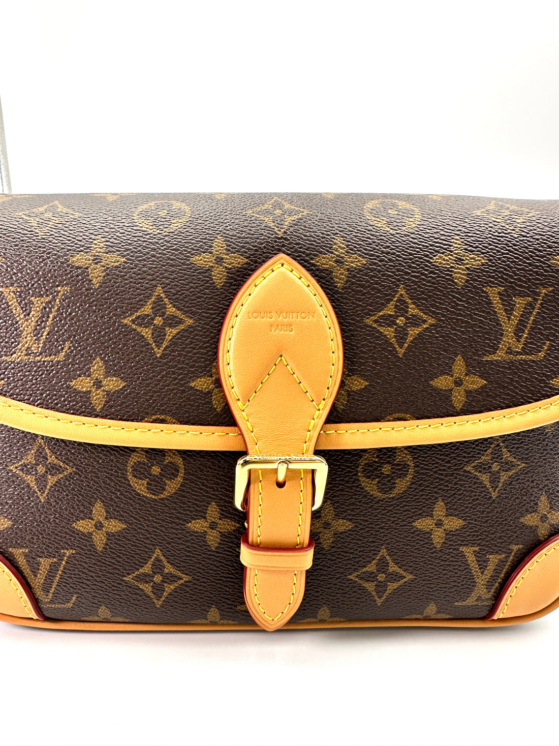 Louis Vuitton Diane Monogram Canvas Shoulder Bag LVE