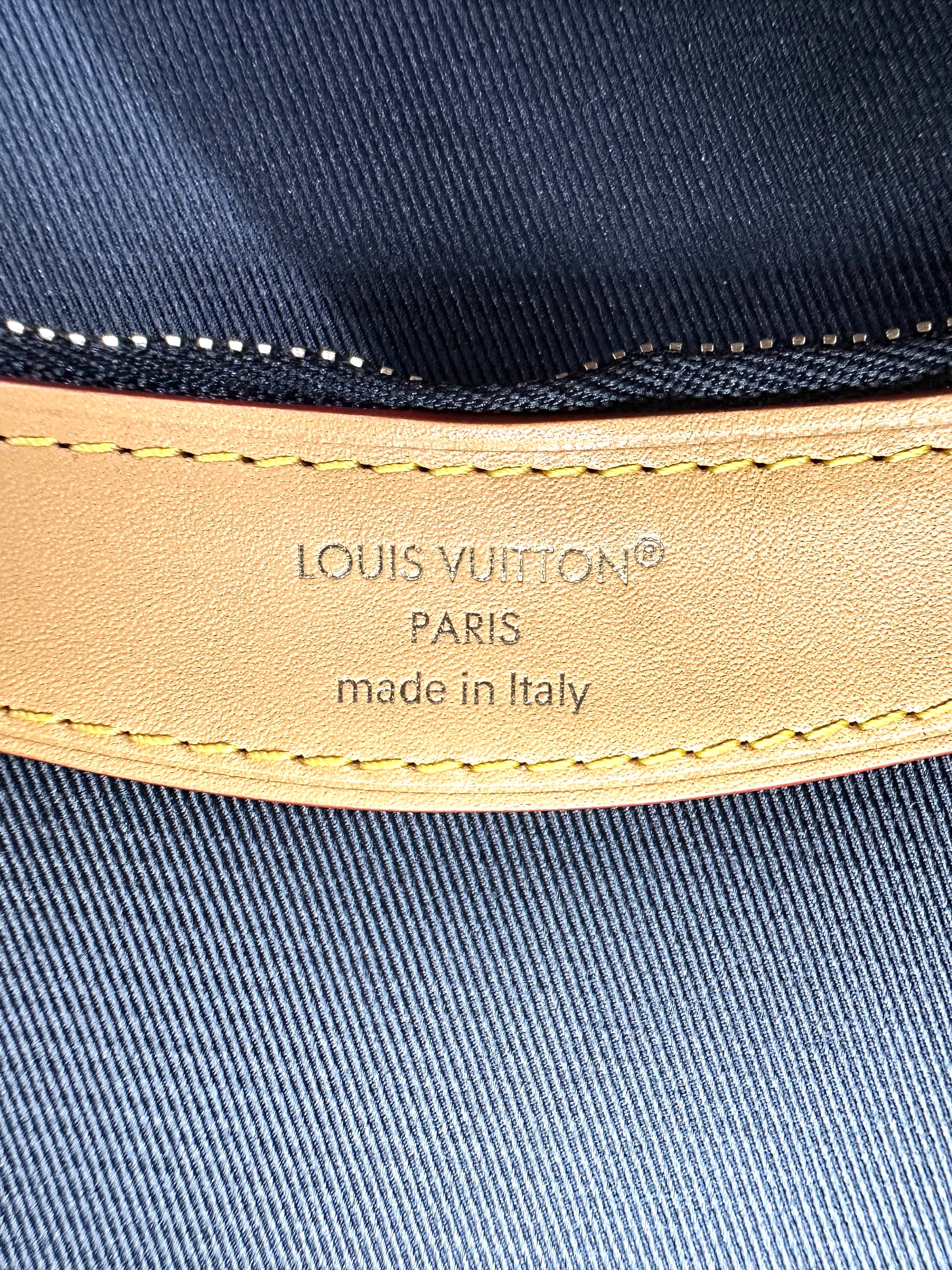 Louis Vuitton Diane Monogram Canvas Shoulder Bag LVE