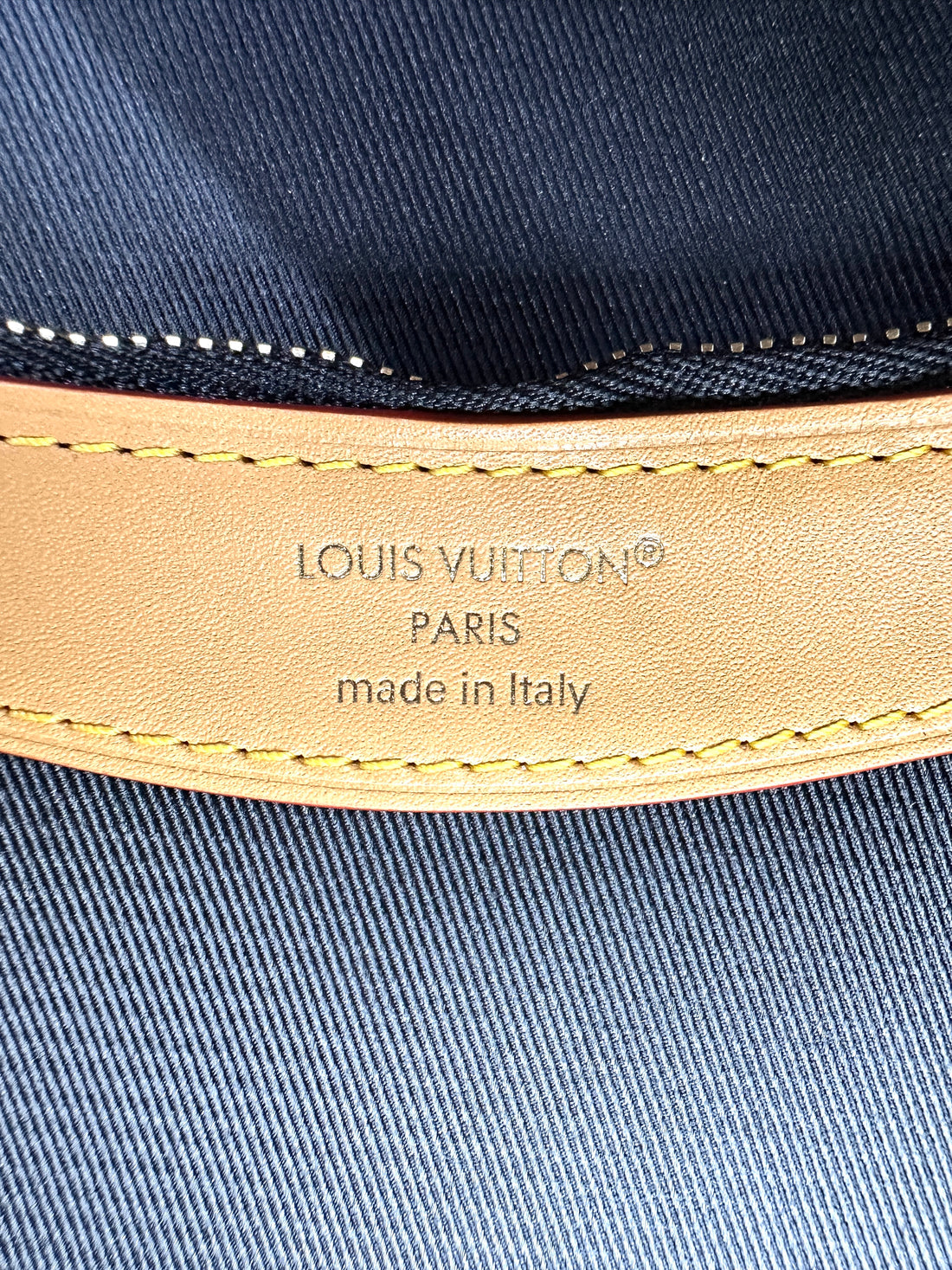 Louis Vuitton Diane Monogram Canvas Shoulder Bag LVE