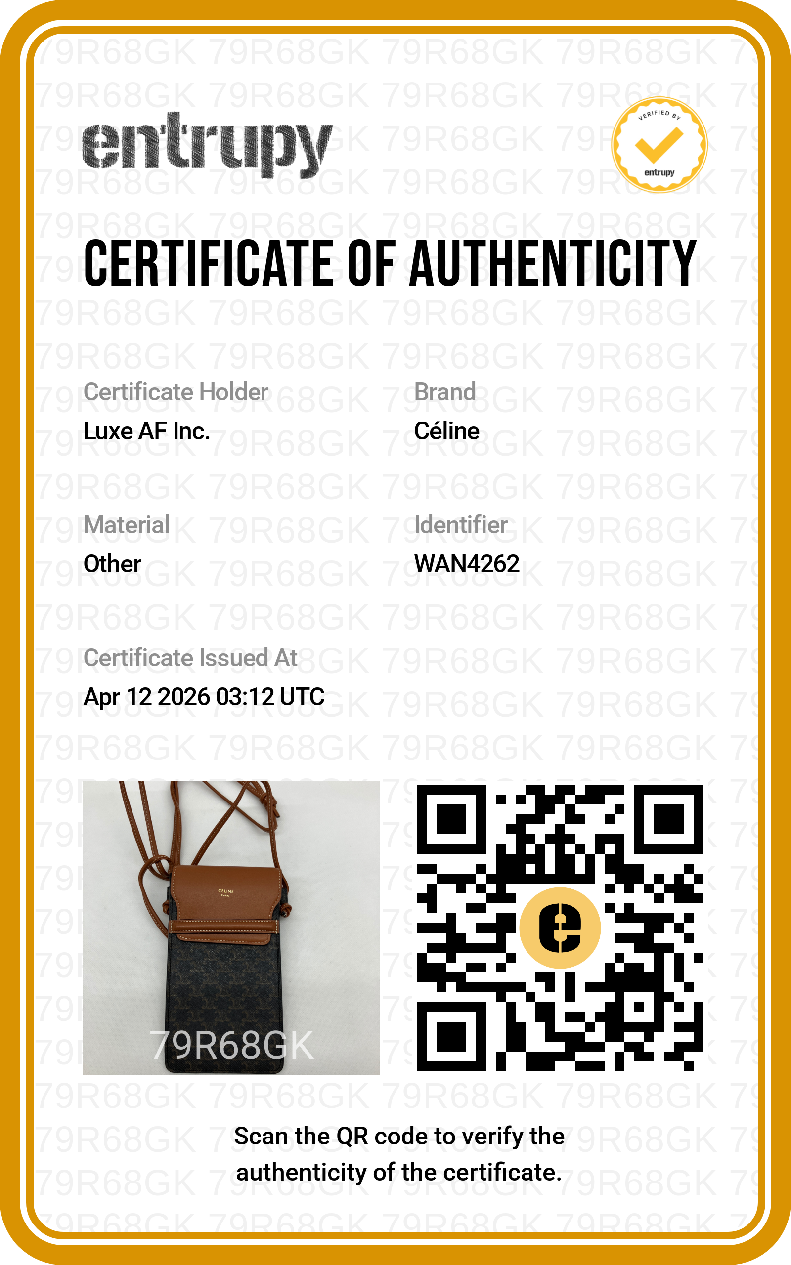 Celine Brown Triomphe Canvas Phone Pouch CEA260422