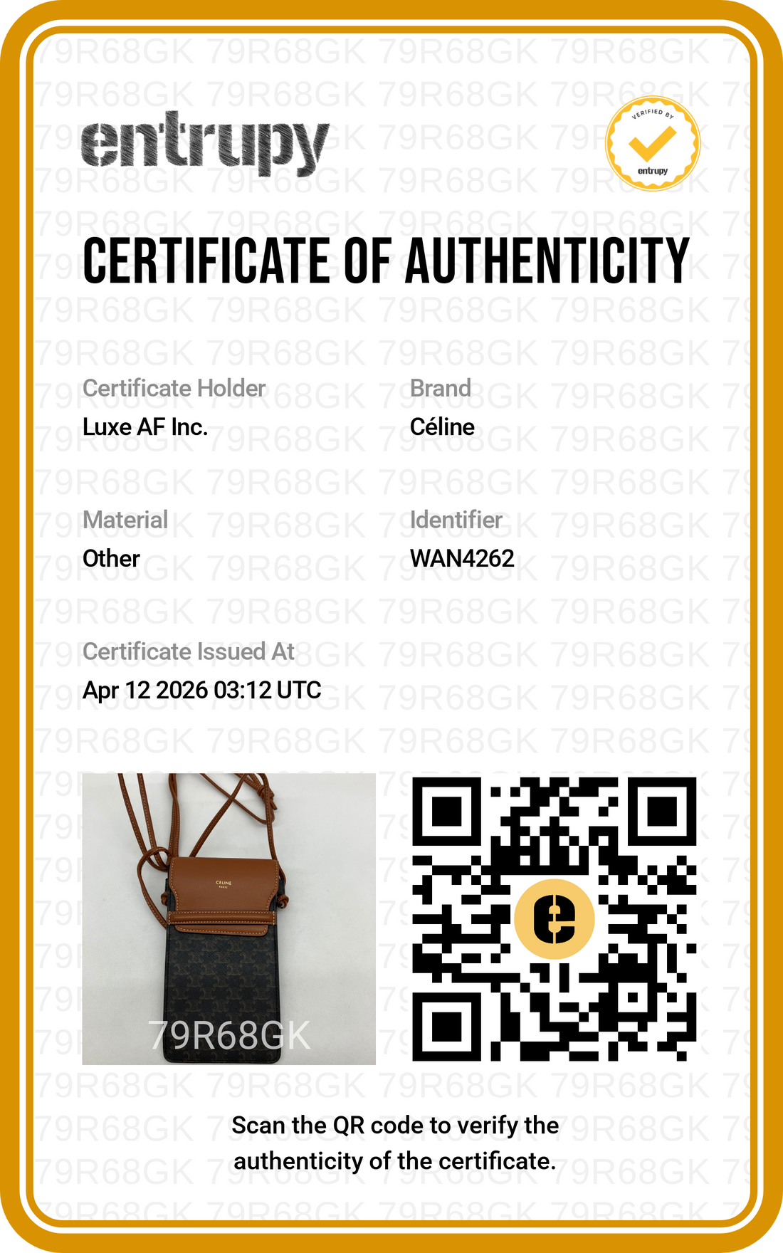 Celine Brown Triomphe Canvas Phone Pouch CEA260422