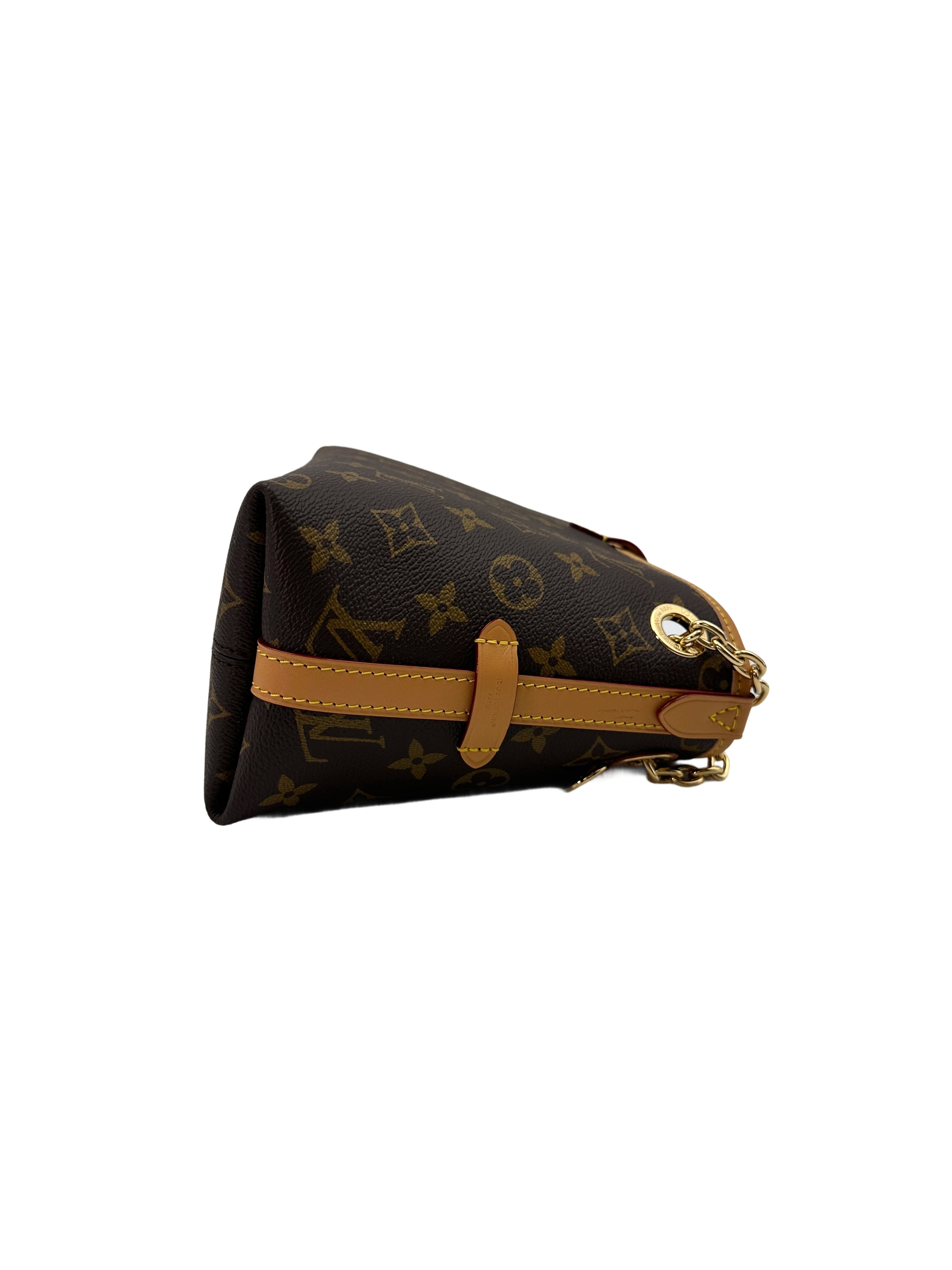Louis Vuitton Monogram Carryall BB Shoulder Bag LVG260422