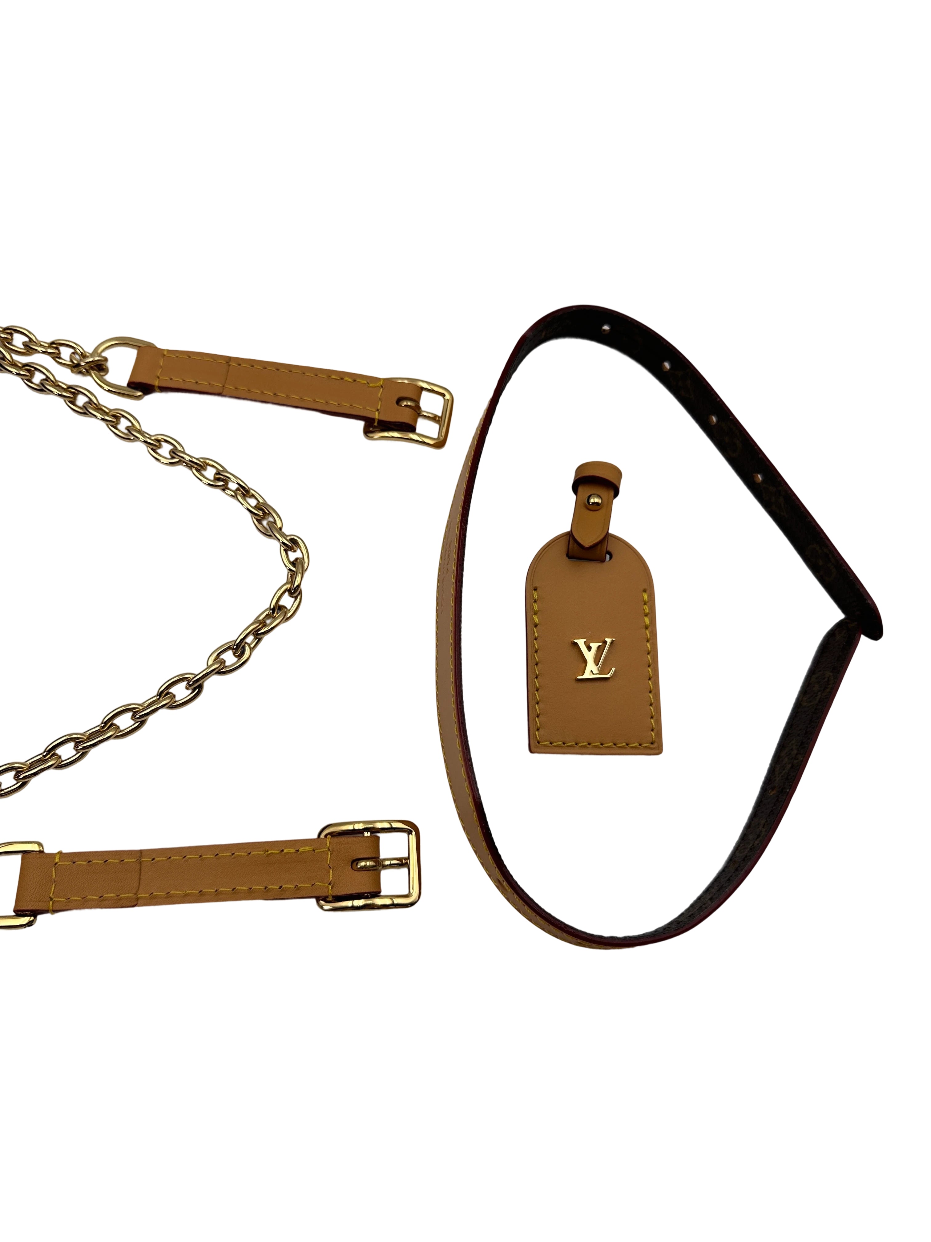 Louis Vuitton Monogram Carryall BB Shoulder Bag LVG260422
