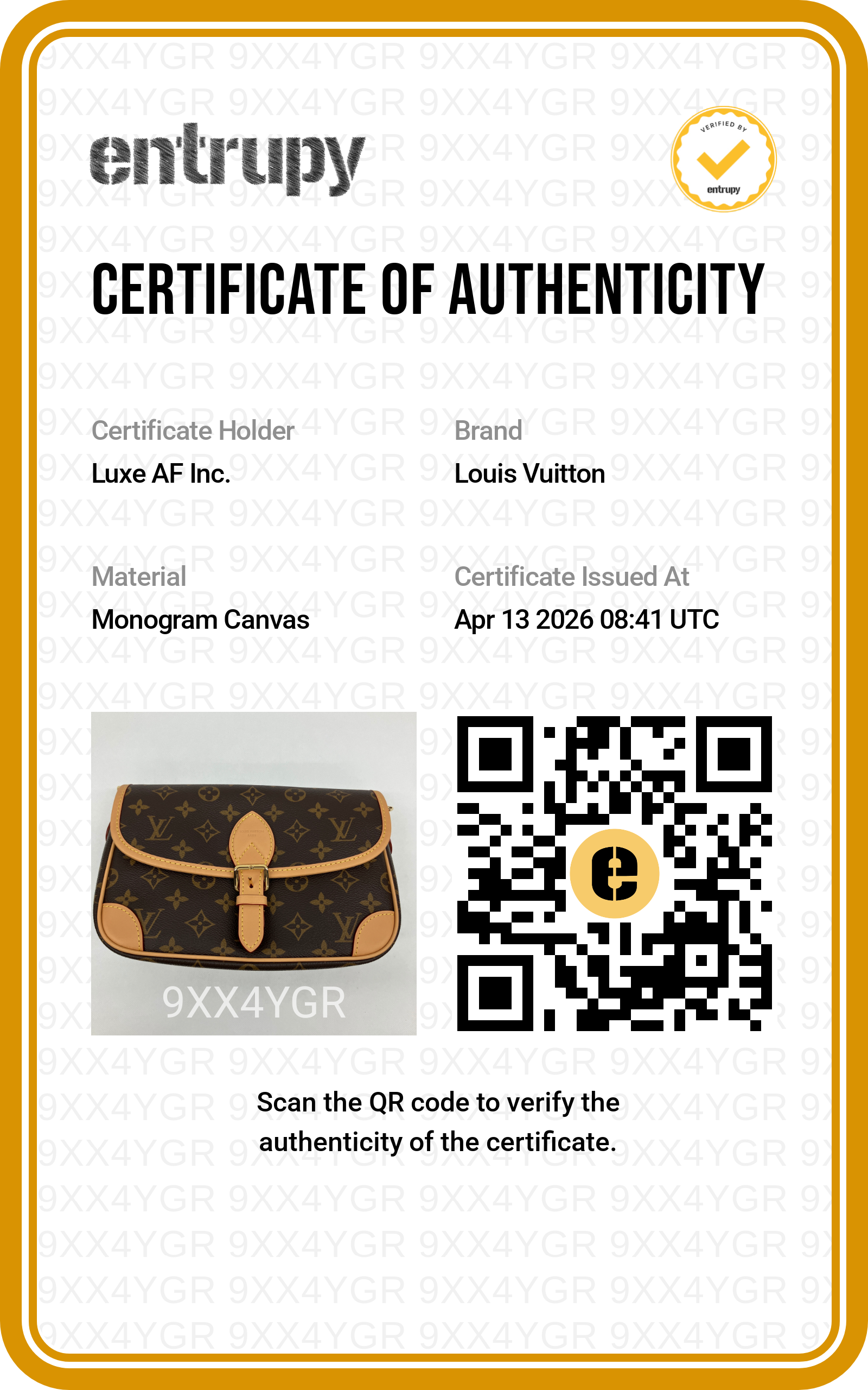 Louis Vuitton Diane Monogram Canvas Shoulder Bag LVE
