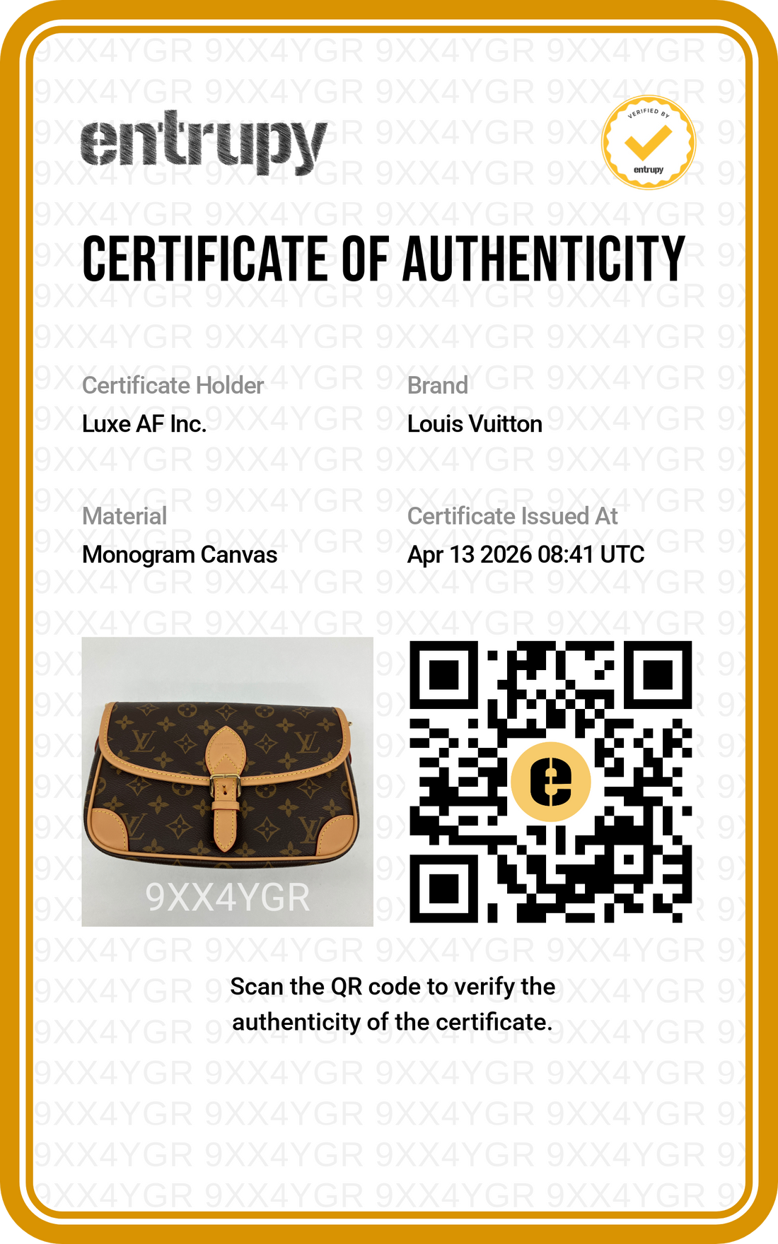 Louis Vuitton Diane Monogram Canvas Shoulder Bag LVE