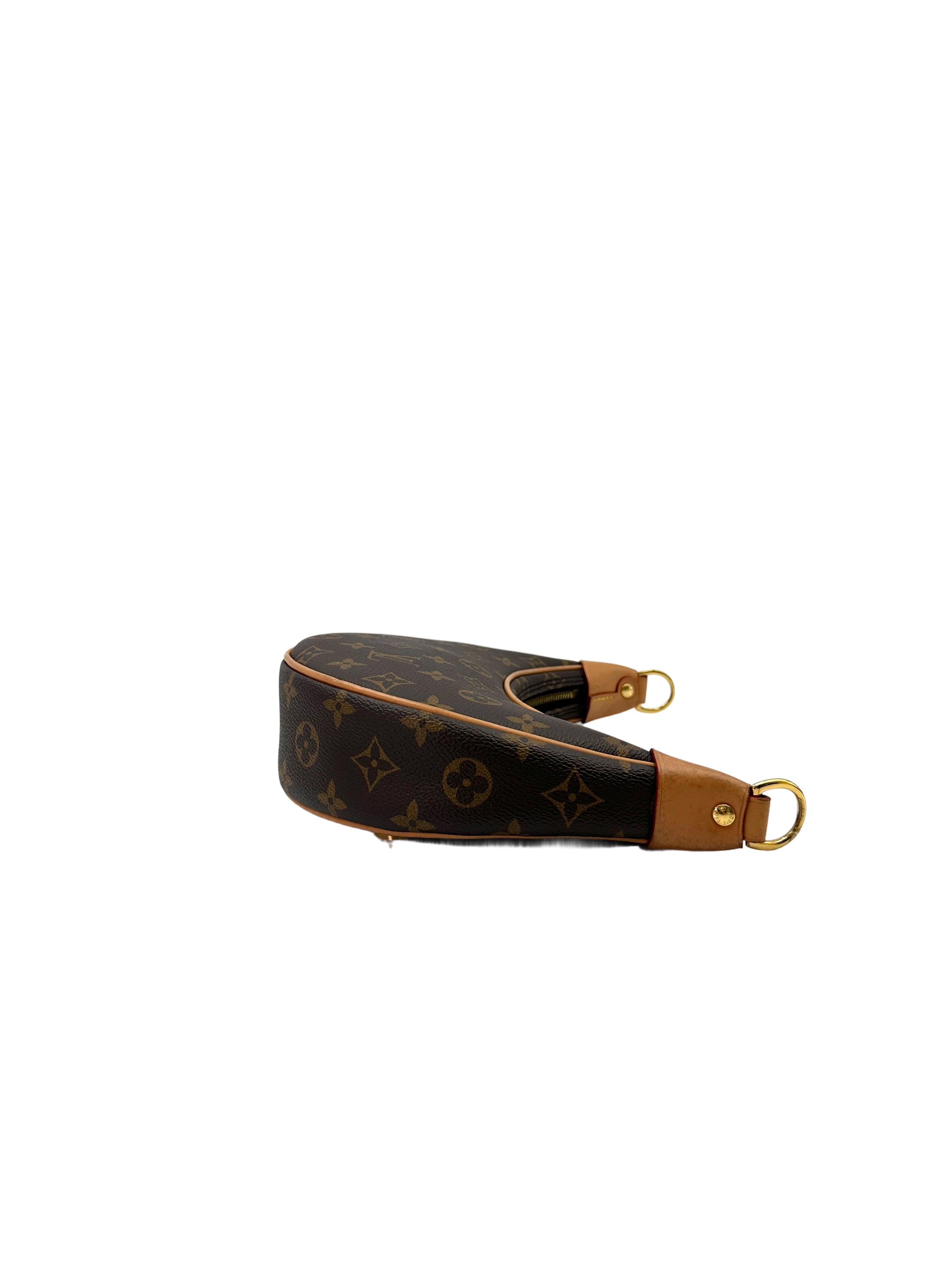 Louis Vuitton Loop Monogram Canvas Shoulder Bag IRIS167