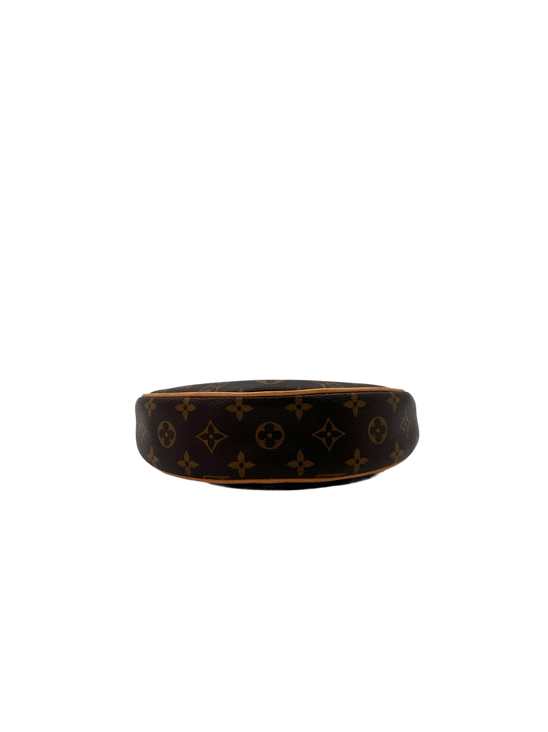 Louis Vuitton Loop Monogram Canvas Shoulder Bag IRIS167