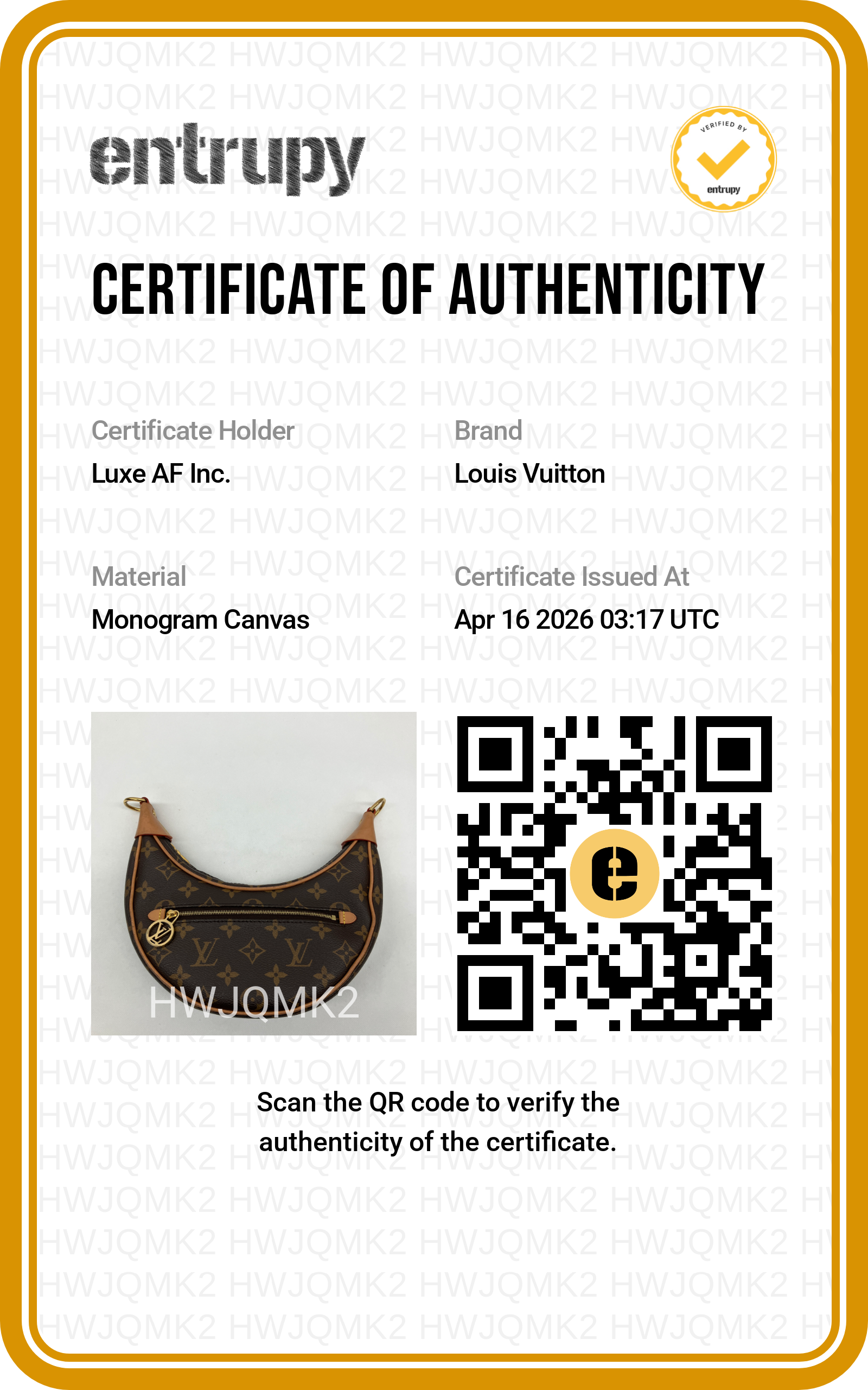 Louis Vuitton Loop Monogram Canvas Shoulder Bag IRIS167