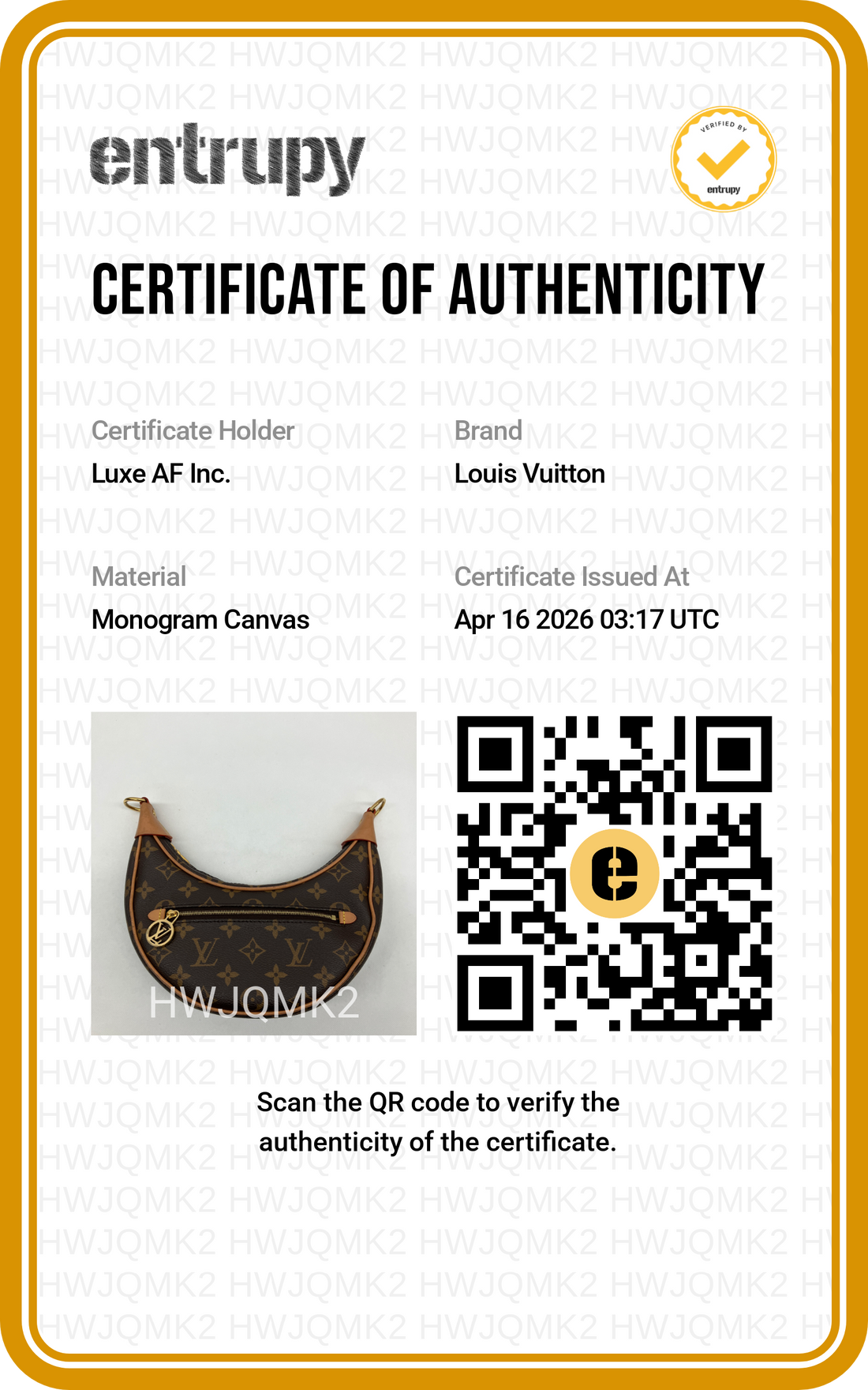 Louis Vuitton Loop Monogram Canvas Shoulder Bag IRIS167