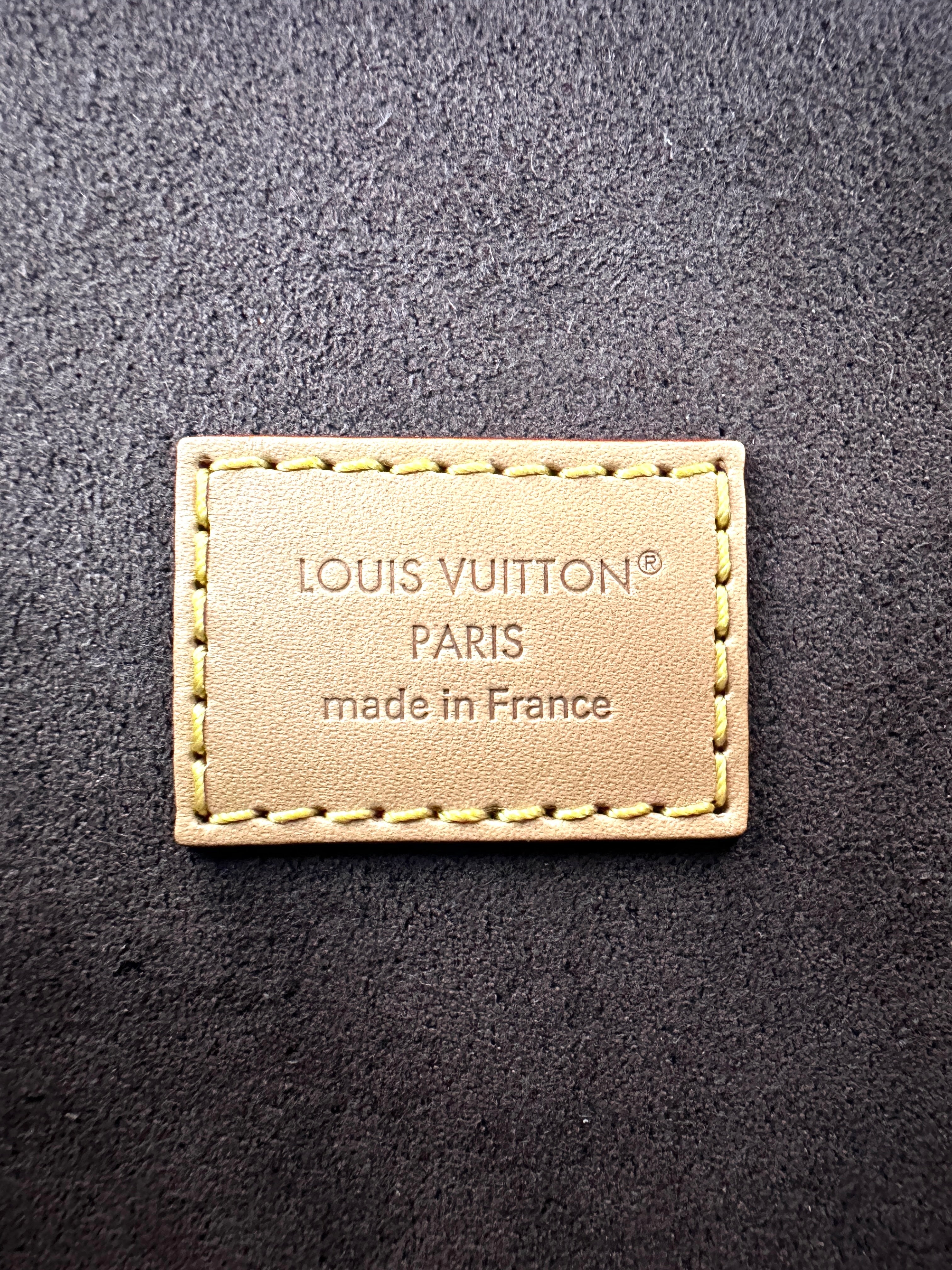 Louis Vuitton Monogram Canvas Pochette Camille LV2442