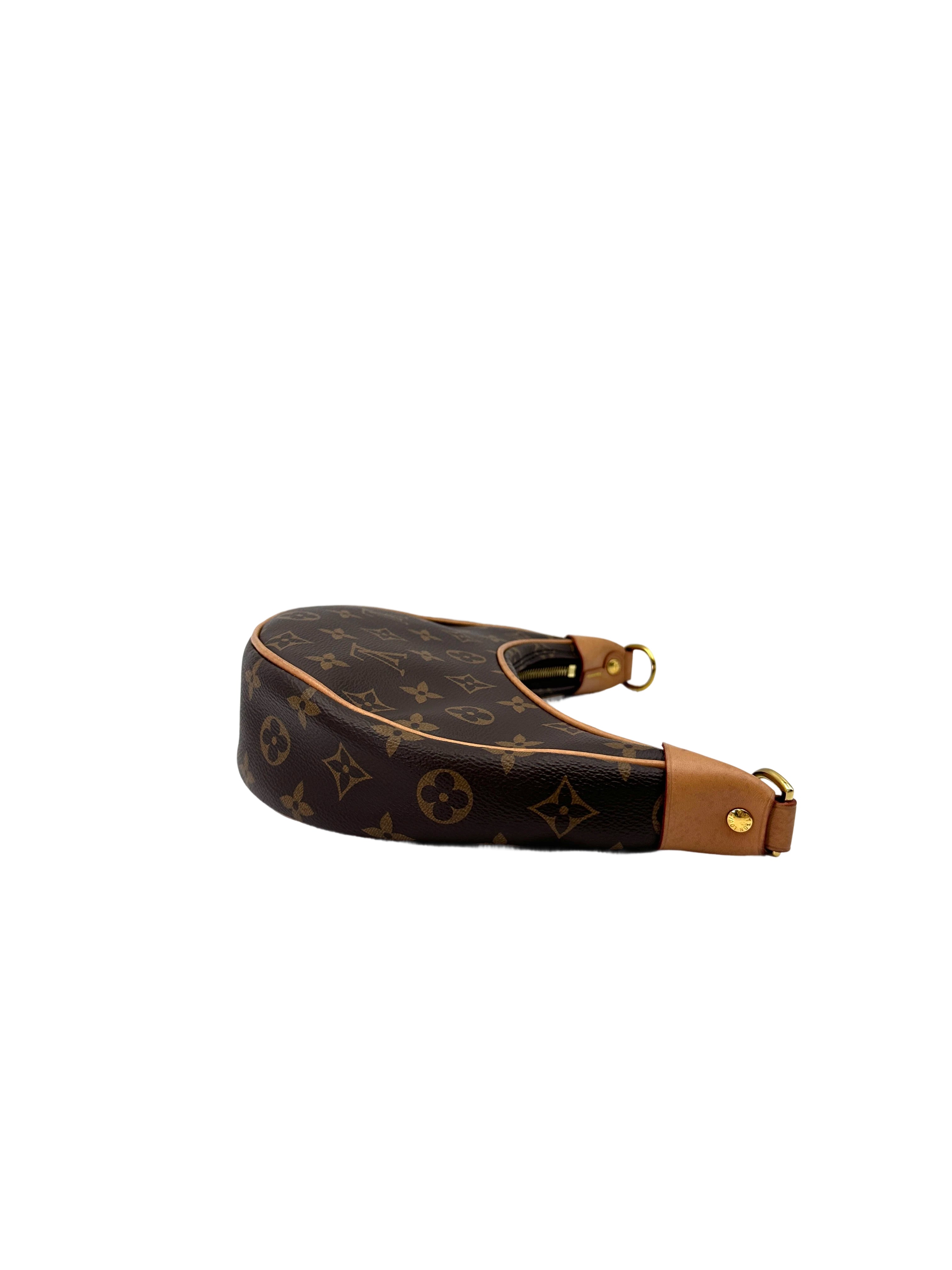 Louis Vuitton Loop Monogram Canvas Shoulder Bag LV2445